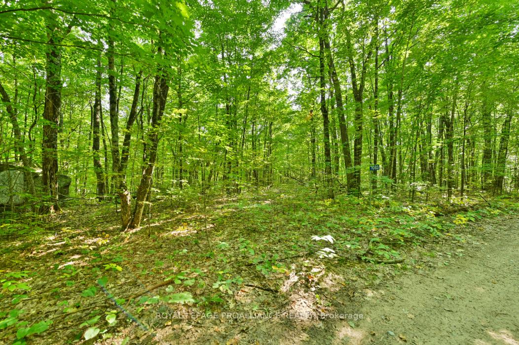 Photo 3 of 1083 Lindey Lane, Frontenac, Frontenac North — HOMEH