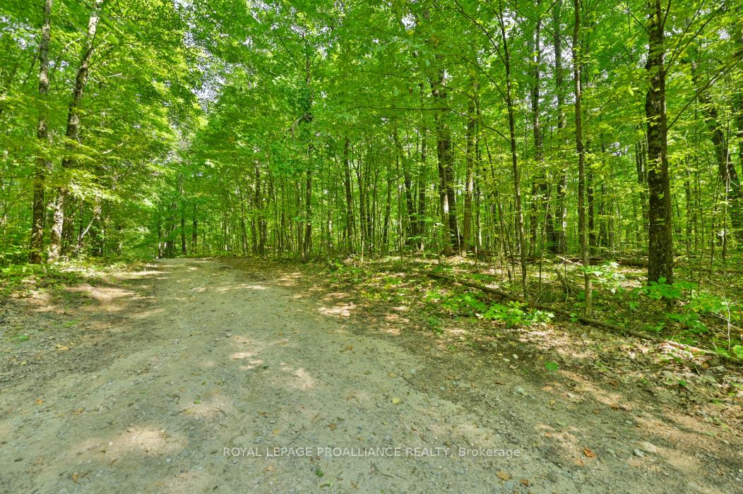 Photo 4 of 1083 Lindey Lane, Frontenac, Frontenac North — HOMEH