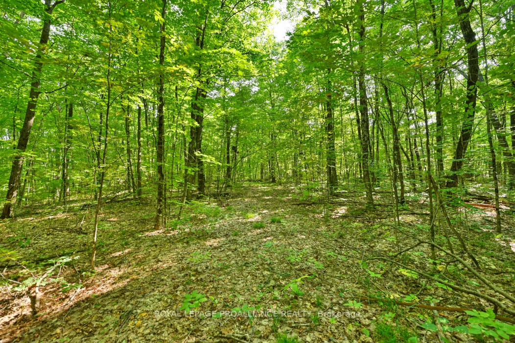 Photo 5 of 1083 Lindey Lane, Frontenac, Frontenac North — HOMEH