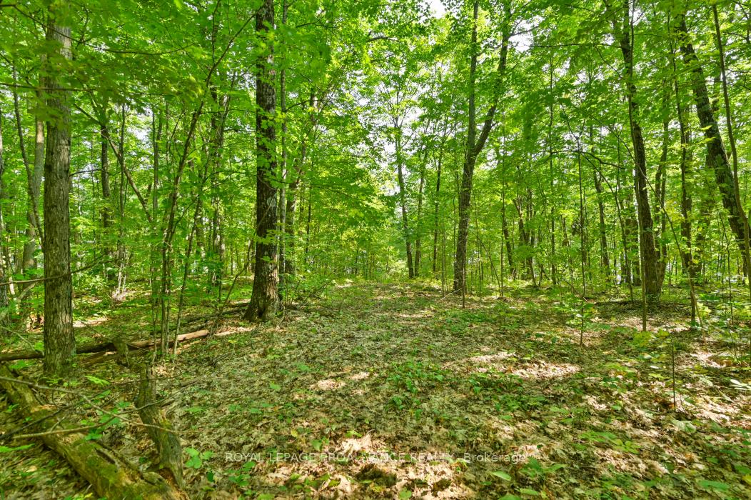Photo 6 of 1083 Lindey Lane, Frontenac, Frontenac North — HOMEH