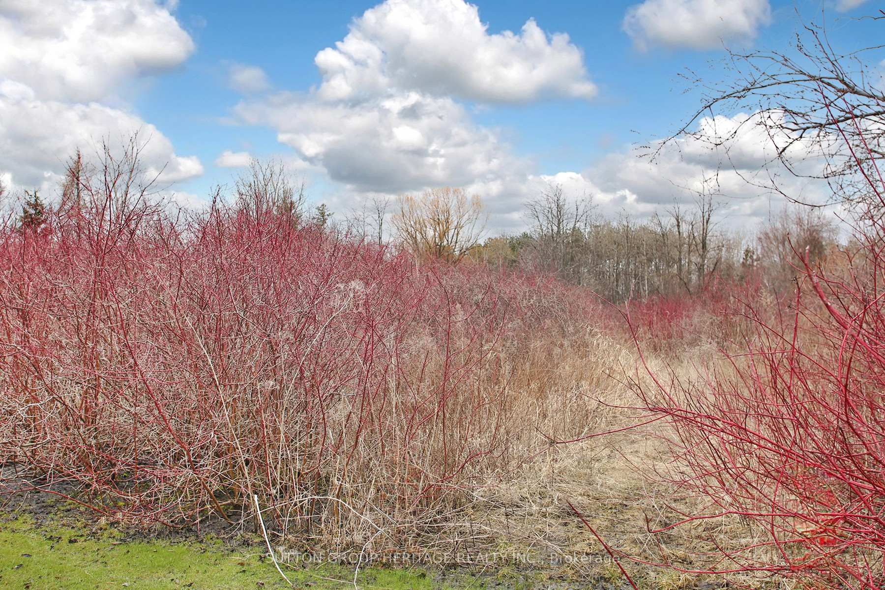 Photo 33 of 2890 Solina Road, Clarington, Rural Clarington — HOMEH