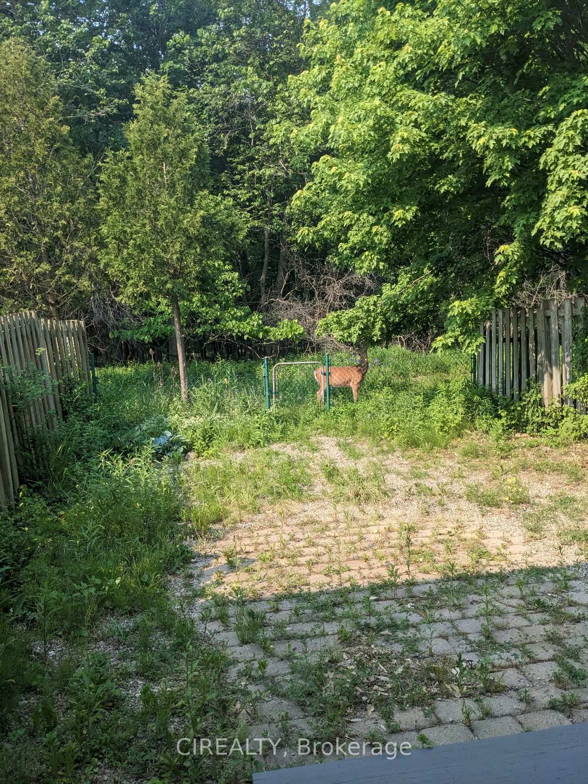Photo 30 of 85 Rodgers Road, Guelph, Kortright West — HOMEH
