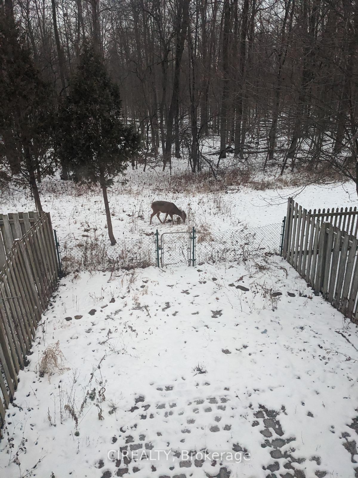 Photo 34 of 85 Rodgers Road, Guelph, Kortright West — HOMEH
