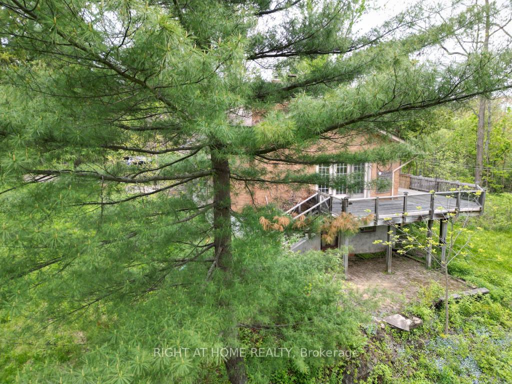 Photo 6 of 144 Wellington Street, Hamilton, Waterdown — HOMEH