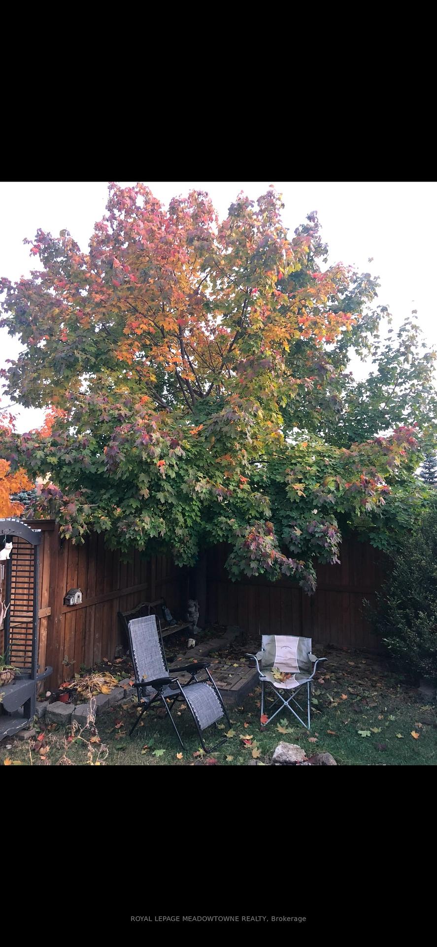 Photo 35 of 17 Emslie Street, Halton Hills, Georgetown — HOMEH