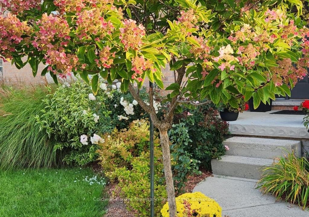 Photo 4 of 7 Brown Street, Guelph, Pineridge/Westminster Woods — HOMEH