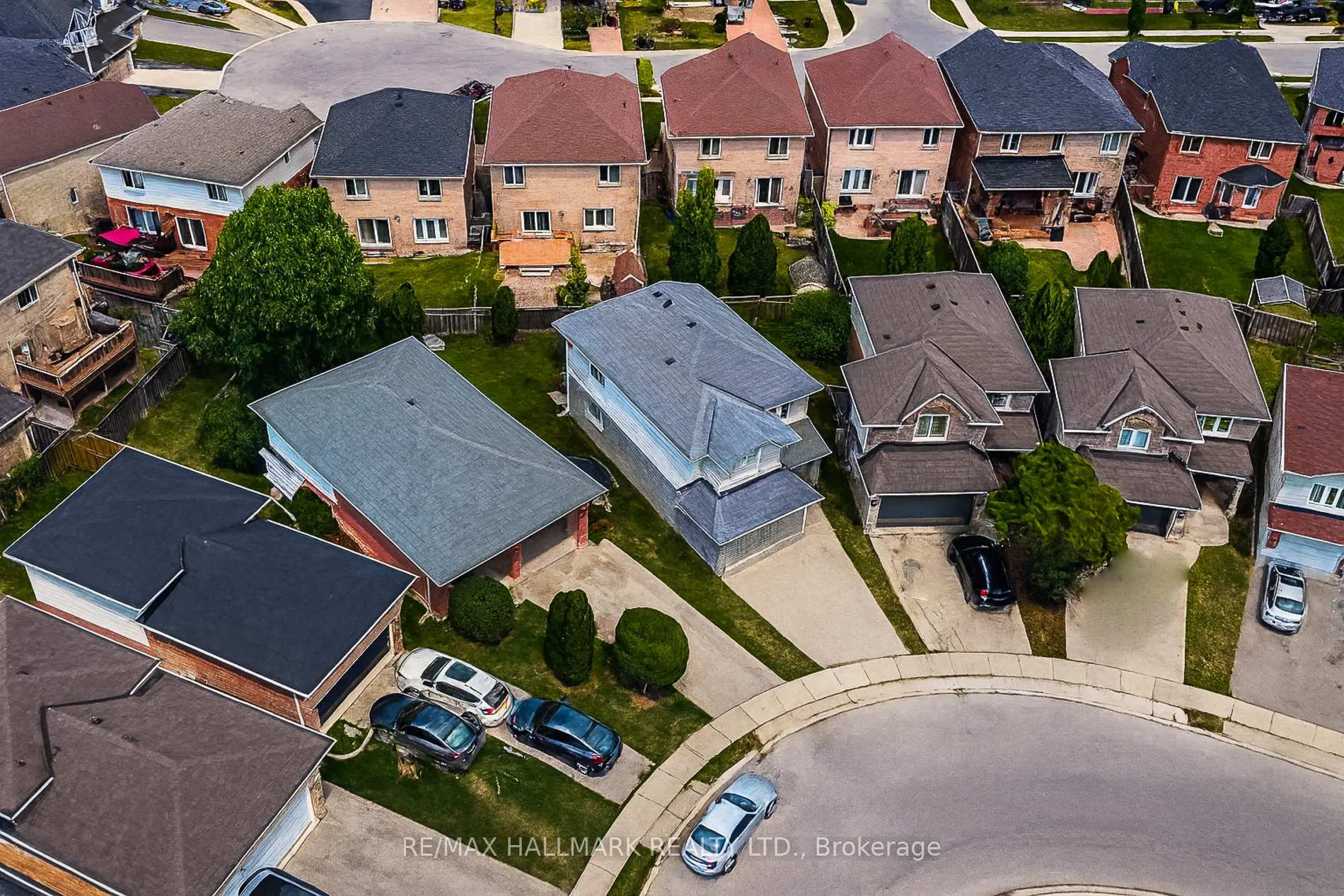 Photo 3 of 34 Marilyn Court, Hamilton, Ryckmans — HOMEH