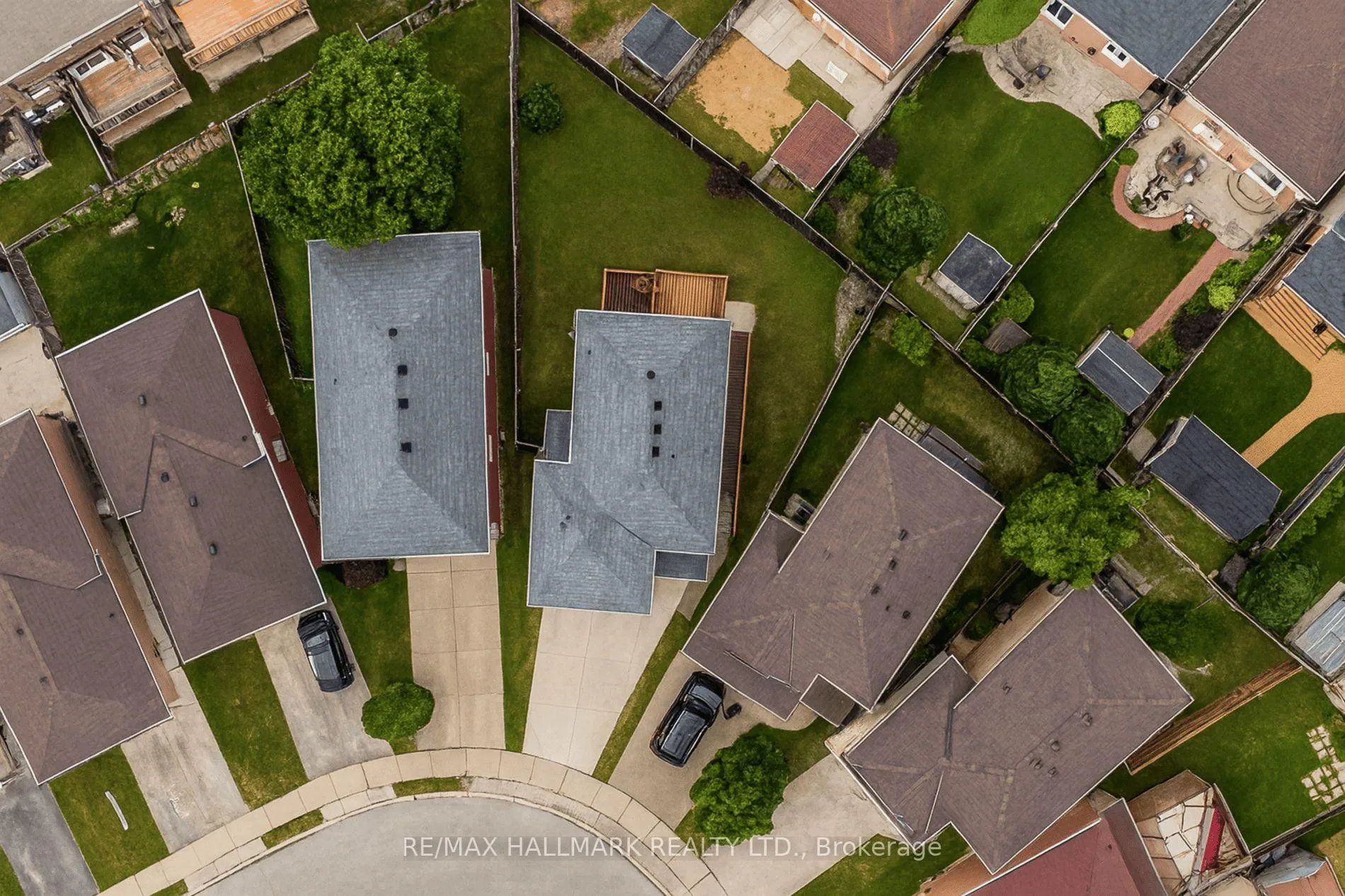 Photo 5 of 34 Marilyn Court, Hamilton, Ryckmans — HOMEH