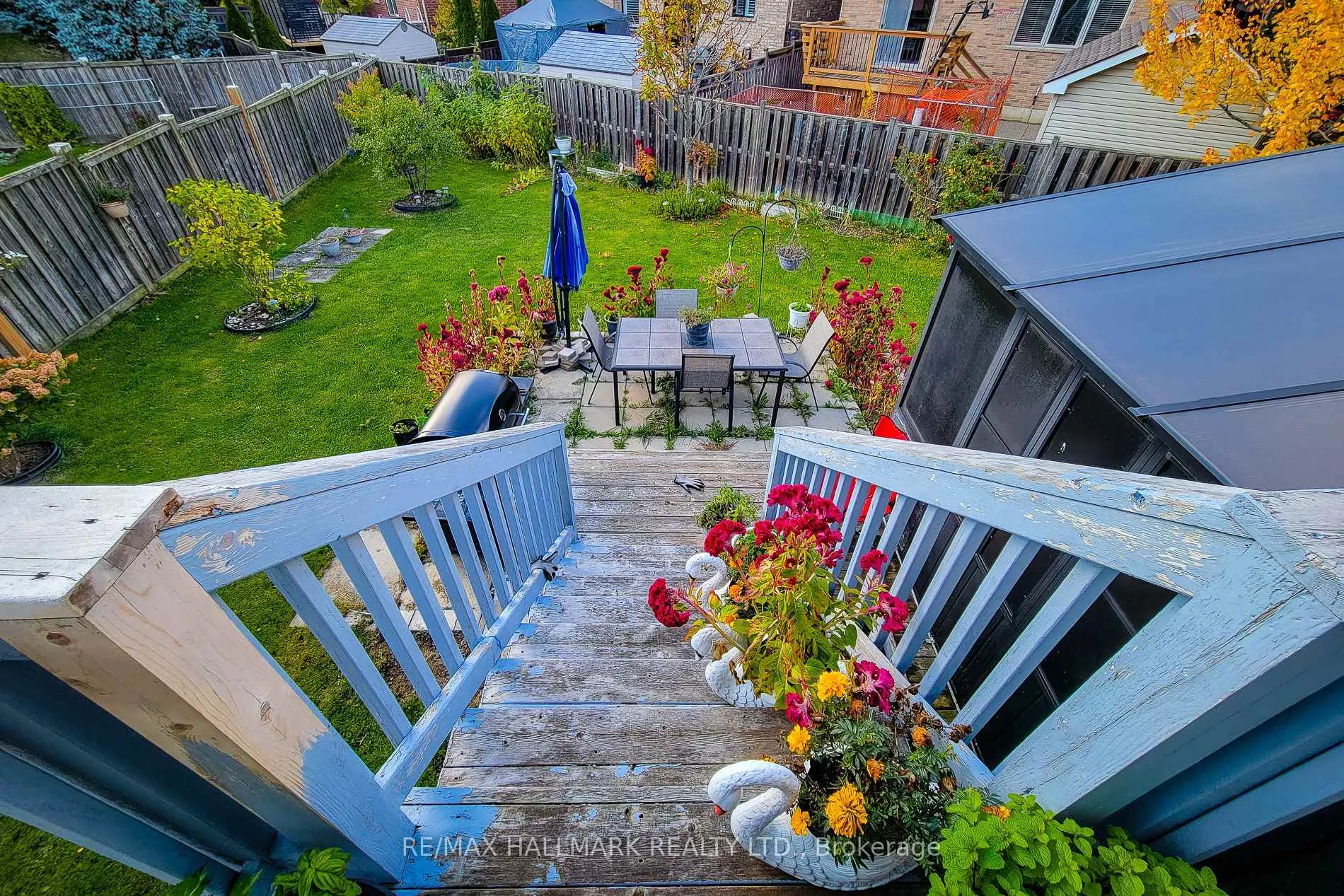 Photo 10 of 34 Marilyn Court, Hamilton, Ryckmans — HOMEH