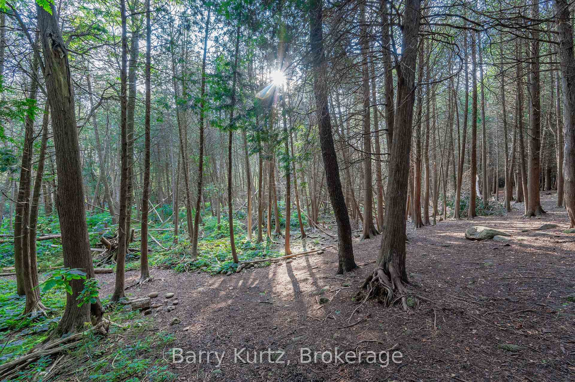 Photo 2 of 739 Stone Road E, Guelph, York/Watson Industrial Park — HOMEH