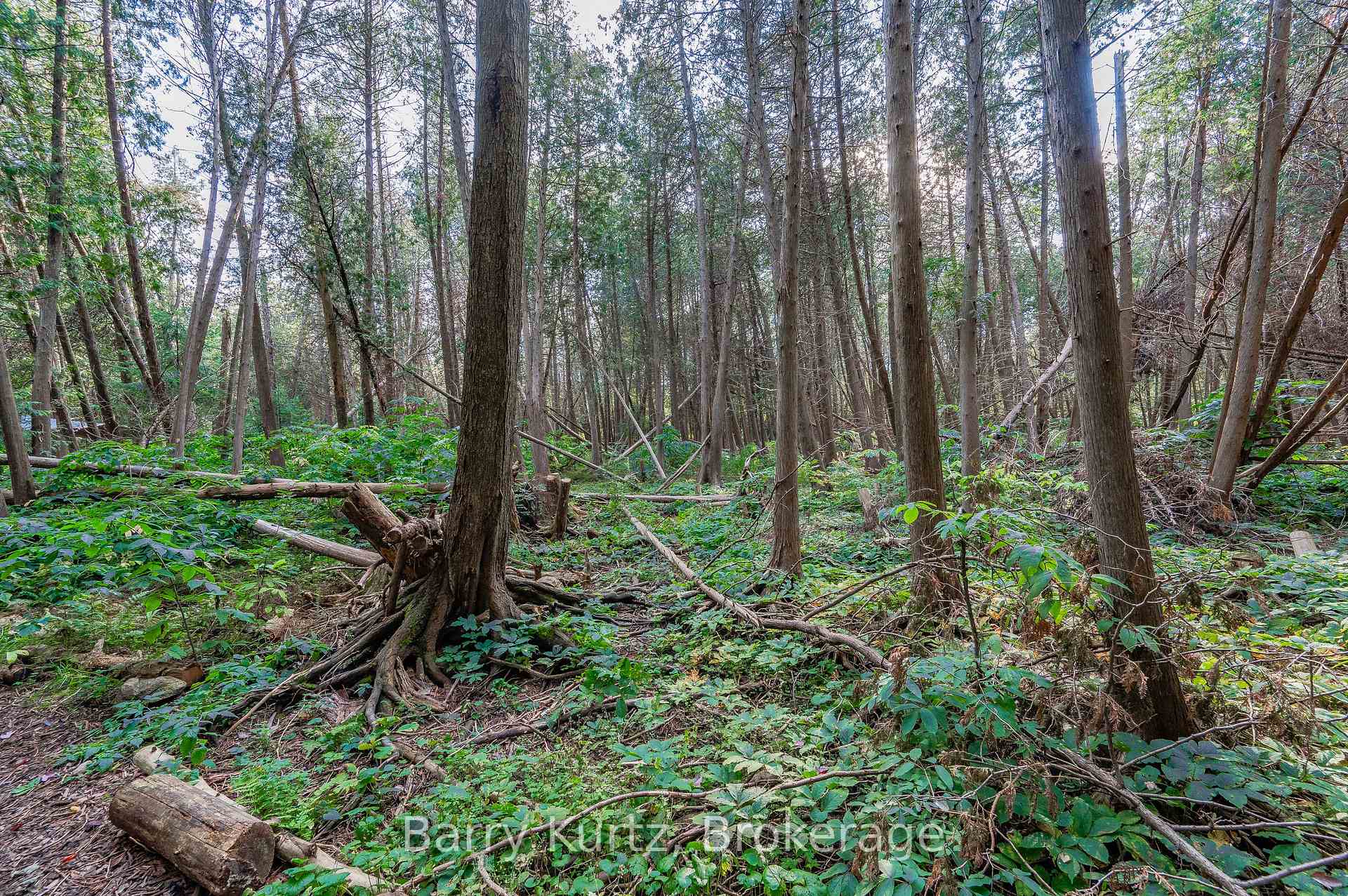 Photo 3 of 739 Stone Road E, Guelph, York/Watson Industrial Park — HOMEH