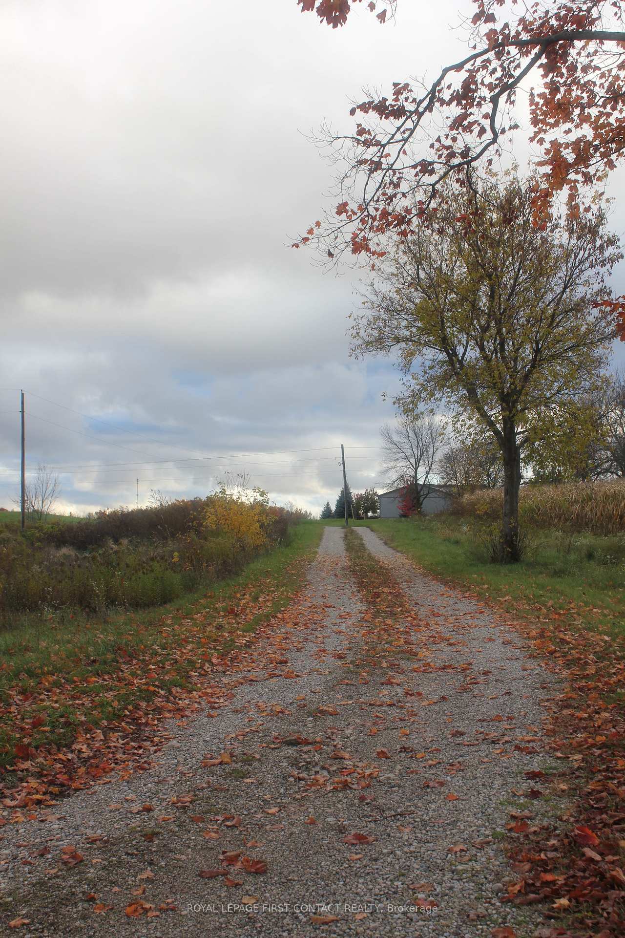 Photo 8 of 280 Concession 10 Road, Brockton — HOMEH