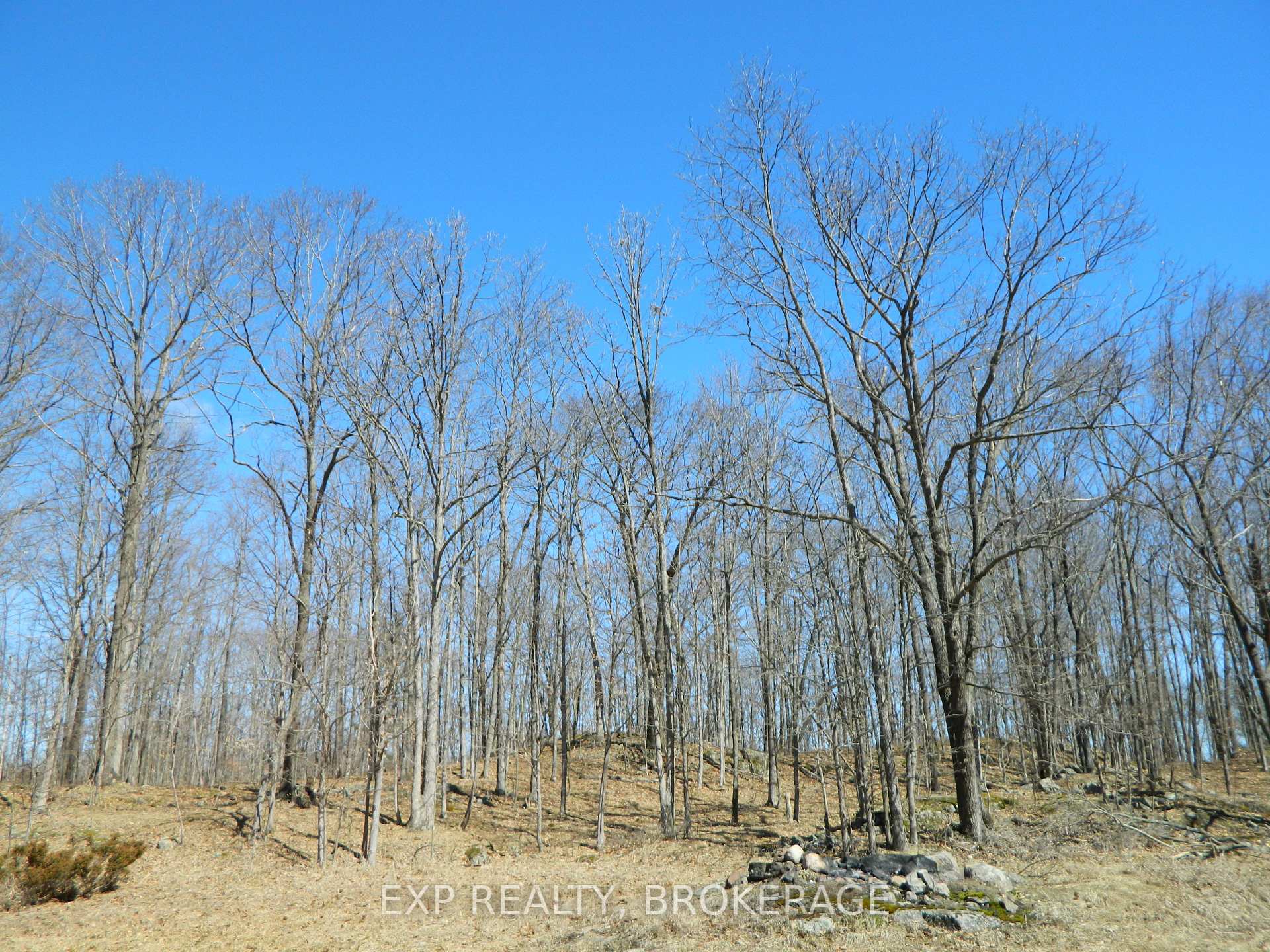 Photo 40 of 4965 Opinicon Road, Frontenac, Frontenac South — HOMEH