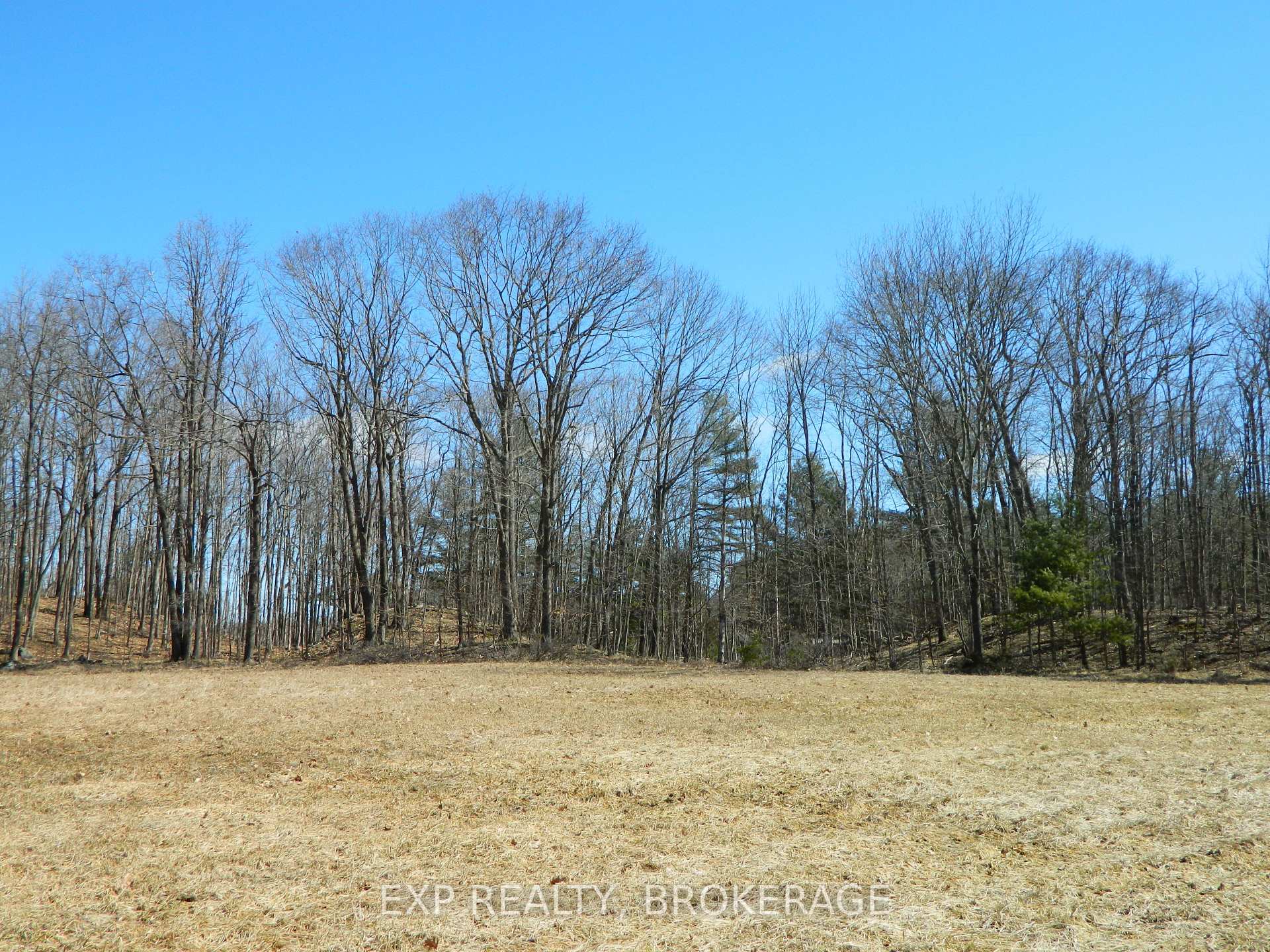 Photo 42 of 4965 Opinicon Road, Frontenac, Frontenac South — HOMEH