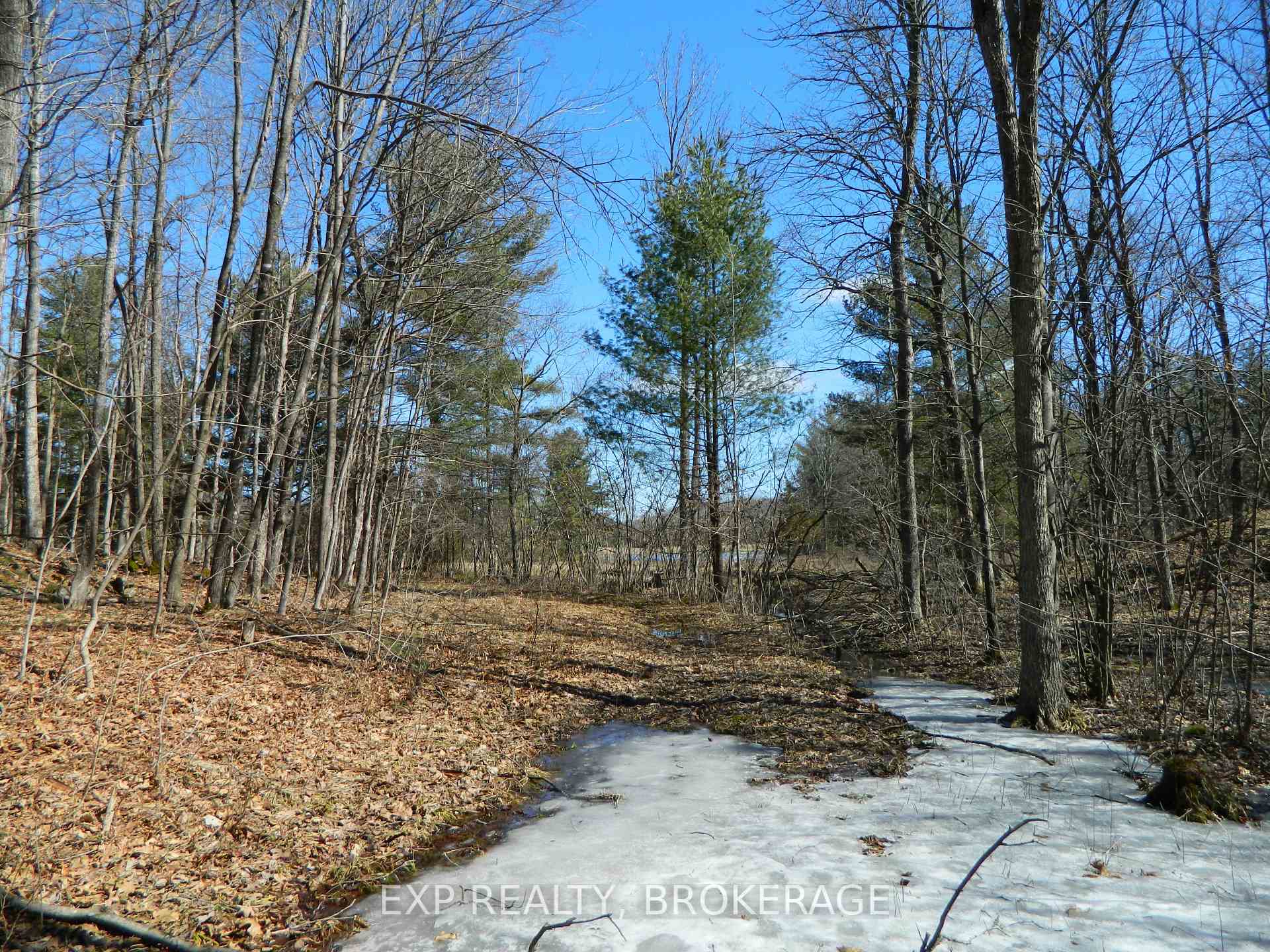 Photo 47 of 4965 Opinicon Road, Frontenac, Frontenac South — HOMEH