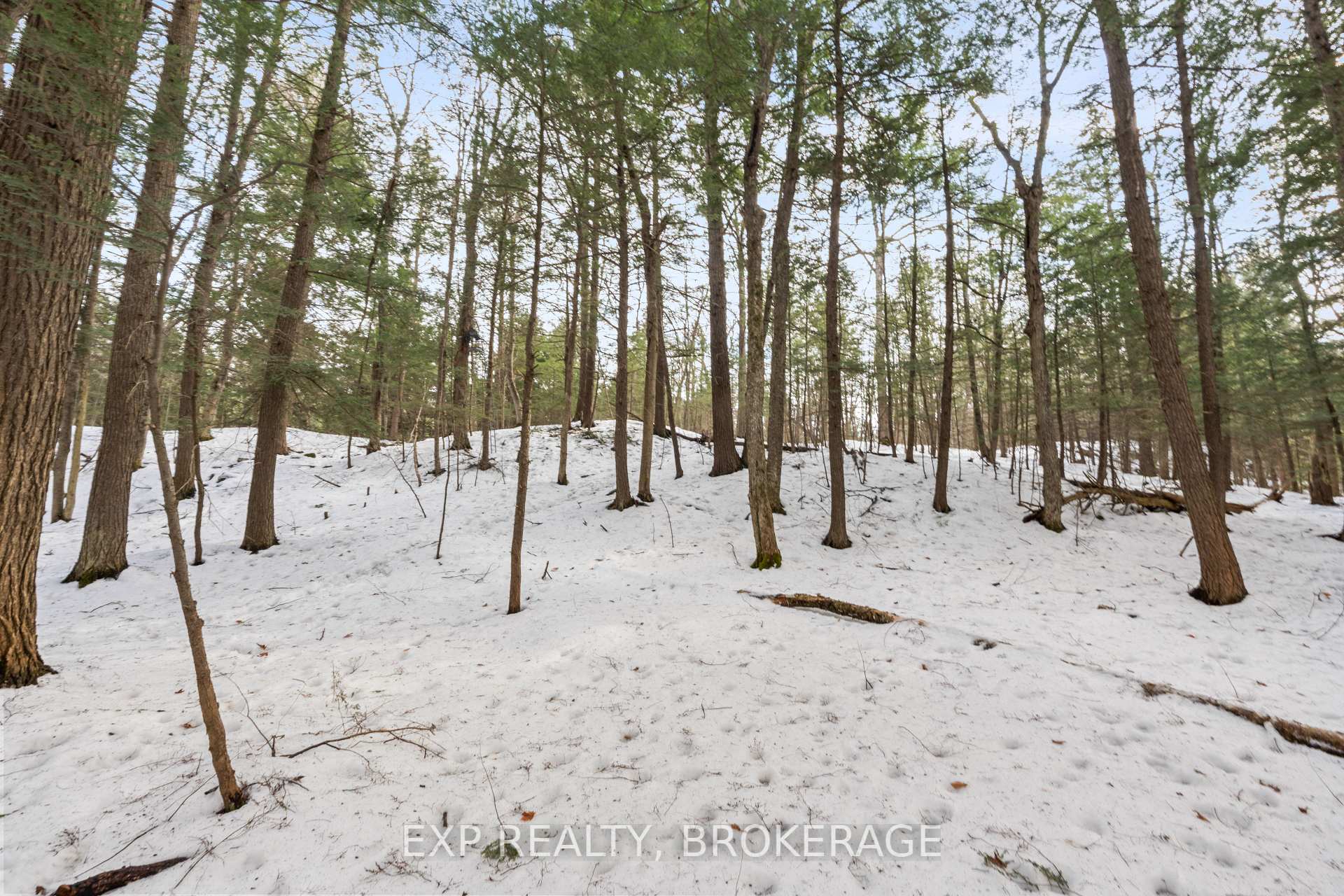Photo 34 of 2579 Desert Lake Road, Frontenac, Frontenac South — HOMEH