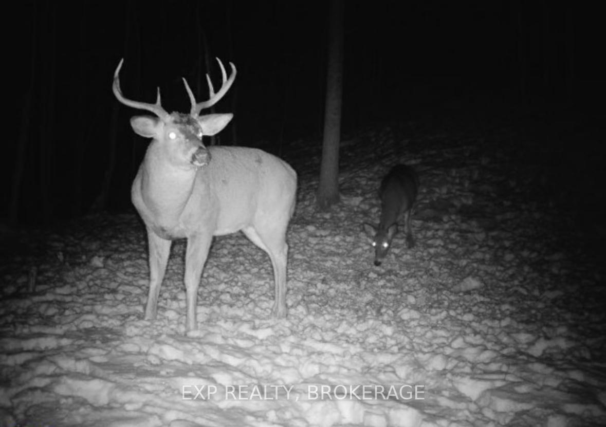 Photo 44 of 2579 Desert Lake Road, Frontenac, Frontenac South — HOMEH