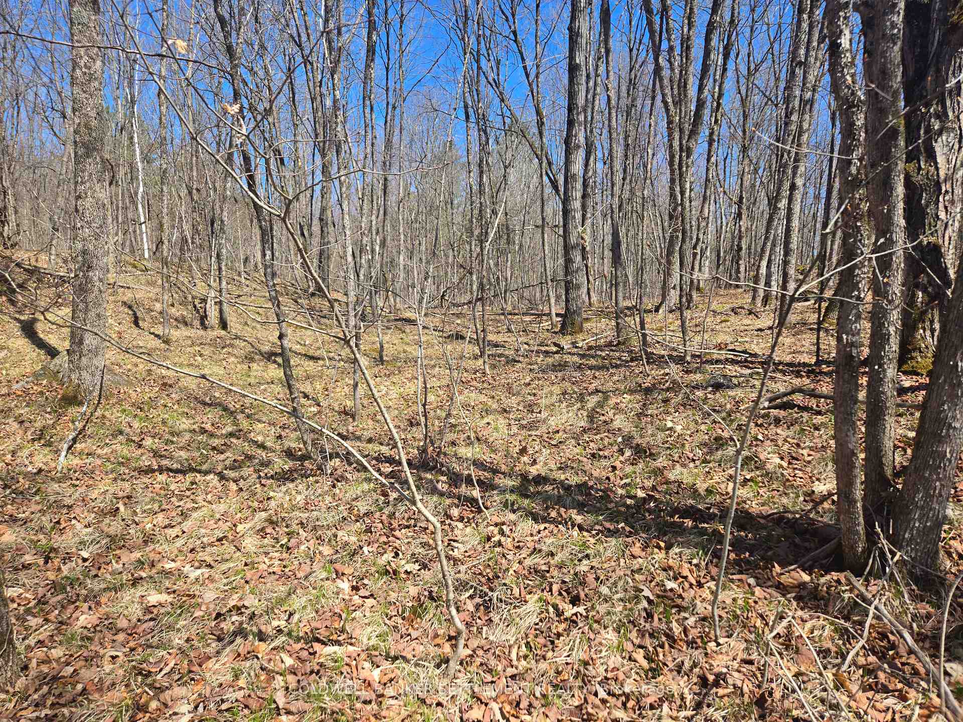 Photo 4 of 00 Heron Lane, Frontenac, Frontenac Centre — HOMEH