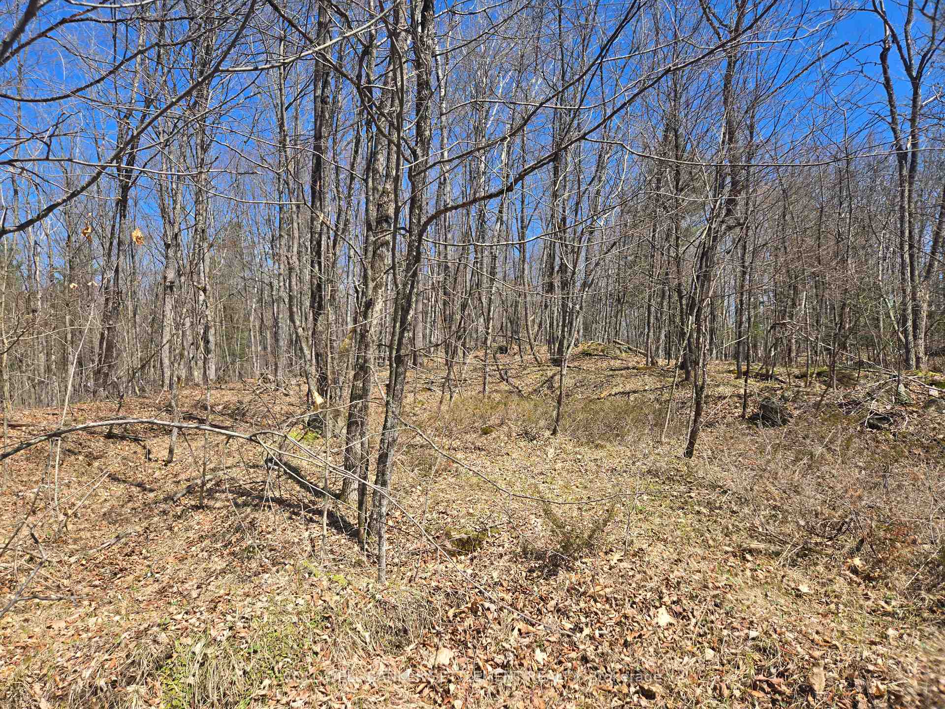 Photo 6 of 00 Heron Lane, Frontenac, Frontenac Centre — HOMEH