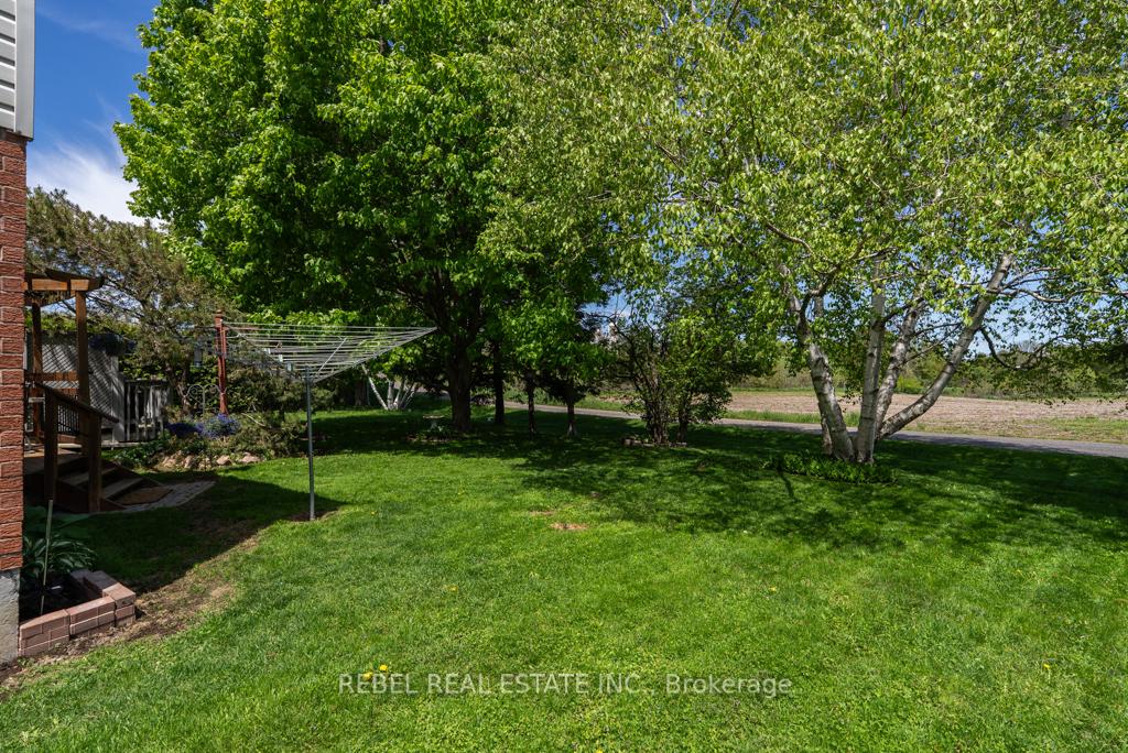 Photo 32 of 258 Andrew Street, Clarington, Newcastle — HOMEH
