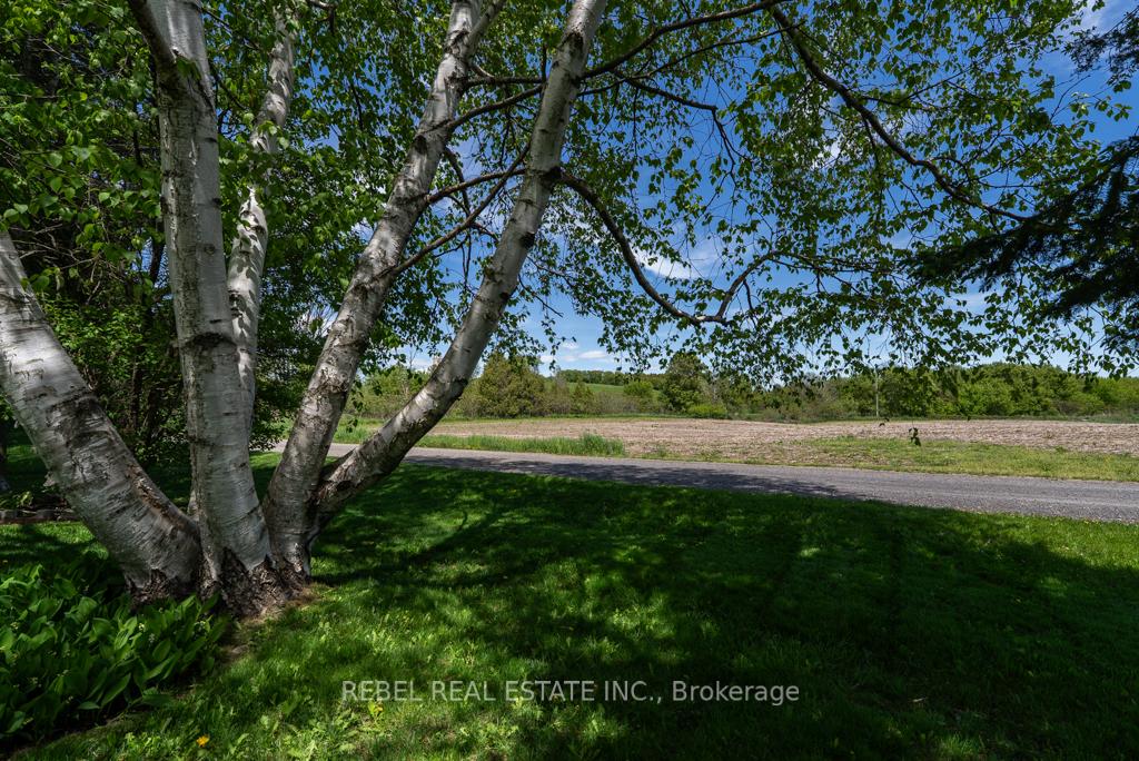 Photo 33 of 258 Andrew Street, Clarington, Newcastle — HOMEH