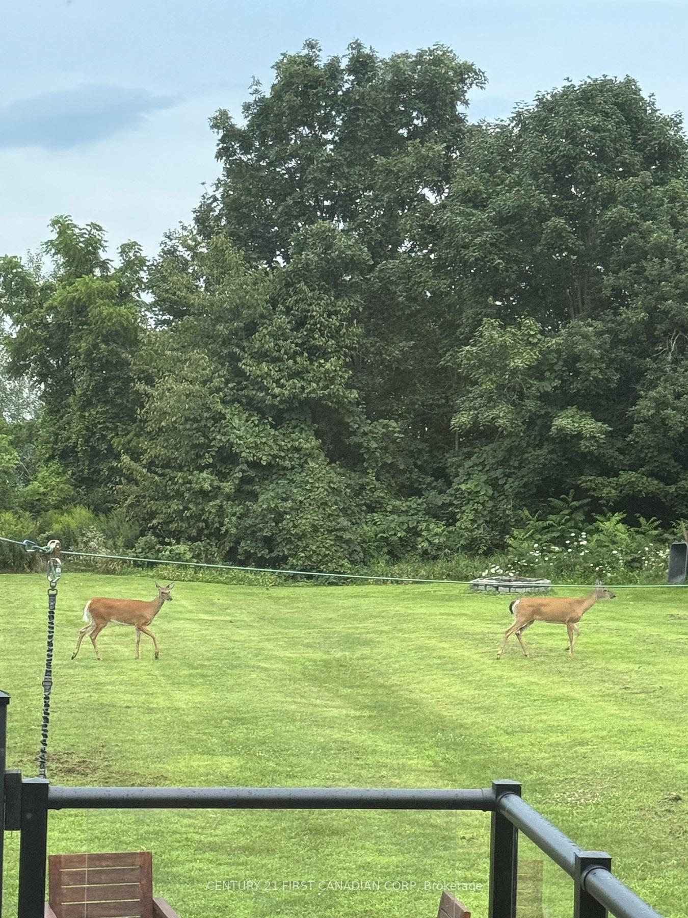 Photo 48 of 325 Brant County 18 Road, Brant, Brantford Twp — HOMEH