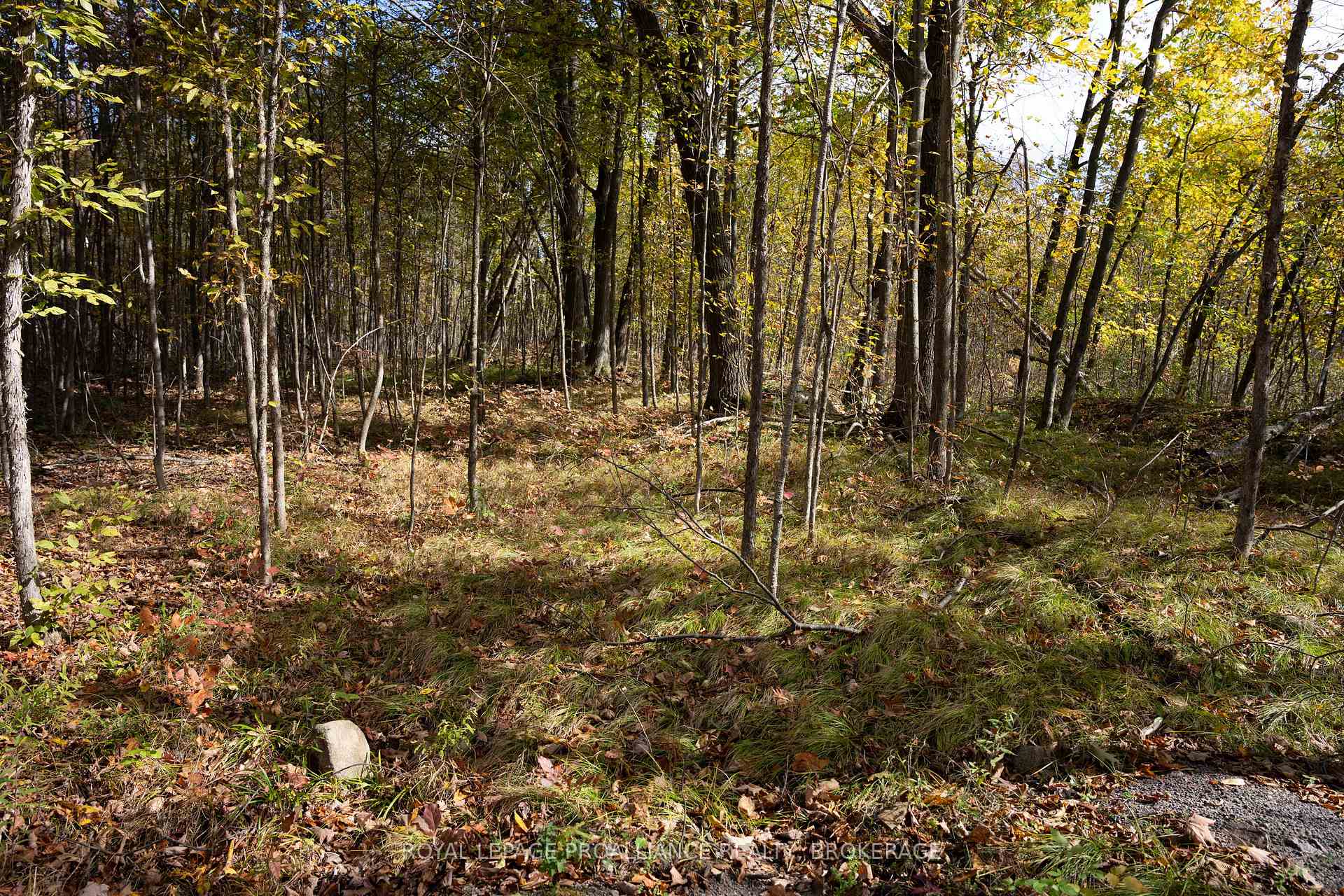 Photo 12 of PL12&13 Devil Lake Road, Frontenac, Frontenac South — HOMEH