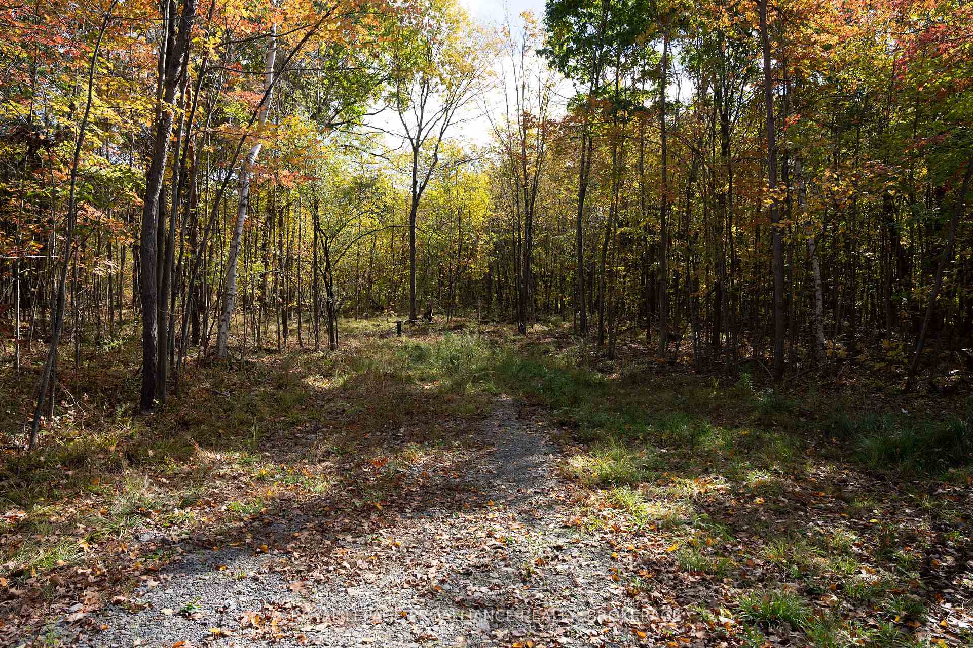Photo 14 of PL12&13 Devil Lake Road, Frontenac, Frontenac South — HOMEH