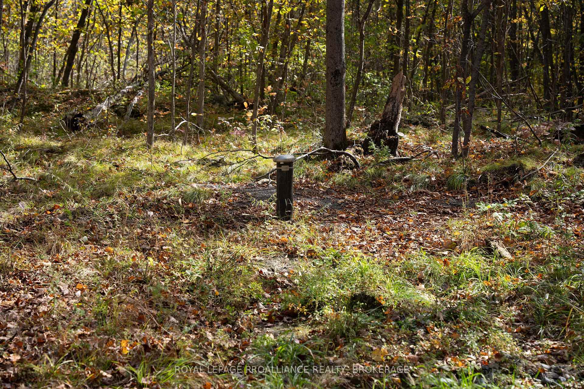 Photo 16 of PL12&13 Devil Lake Road, Frontenac, Frontenac South — HOMEH