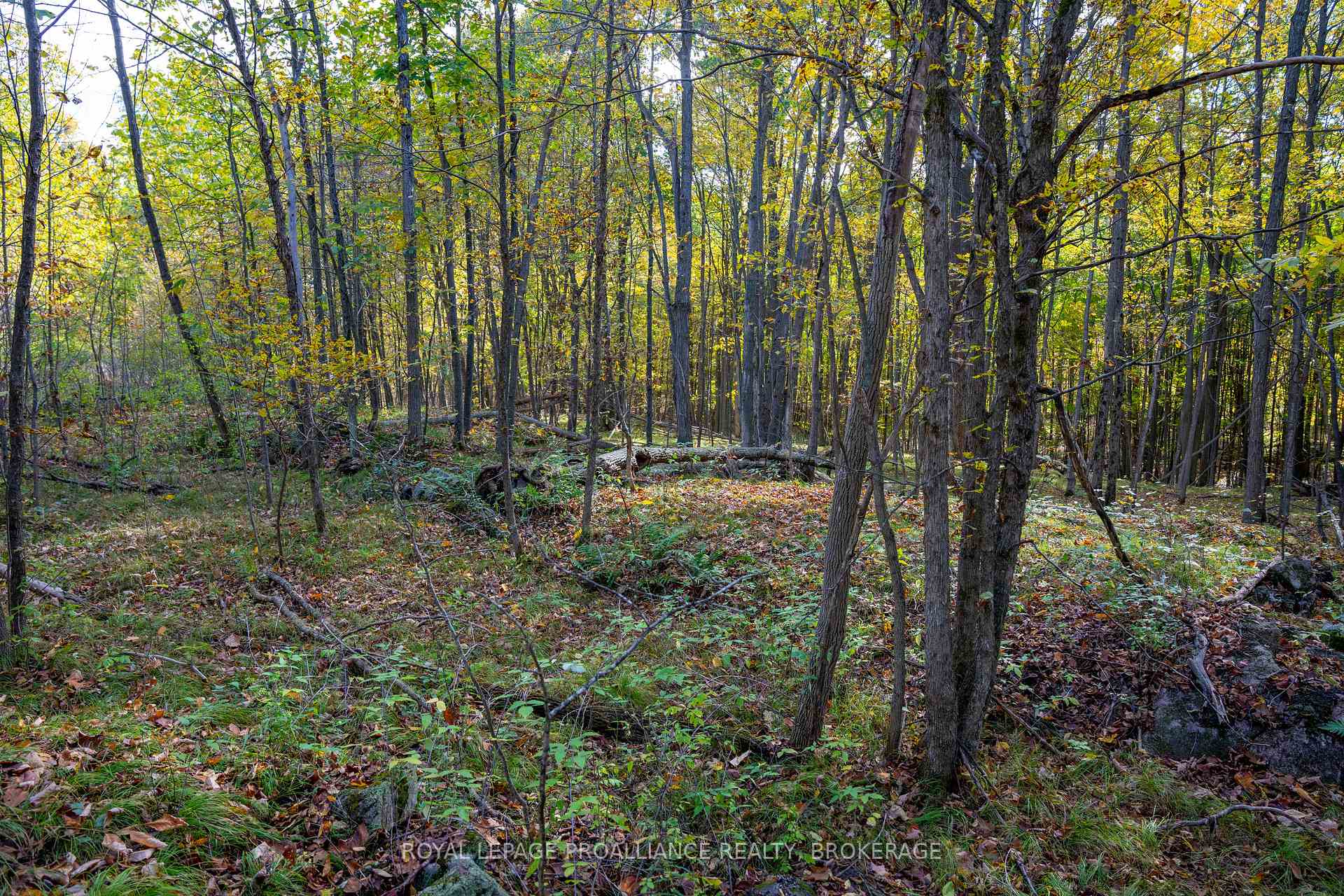 Photo 18 of PL12&13 Devil Lake Road, Frontenac, Frontenac South — HOMEH