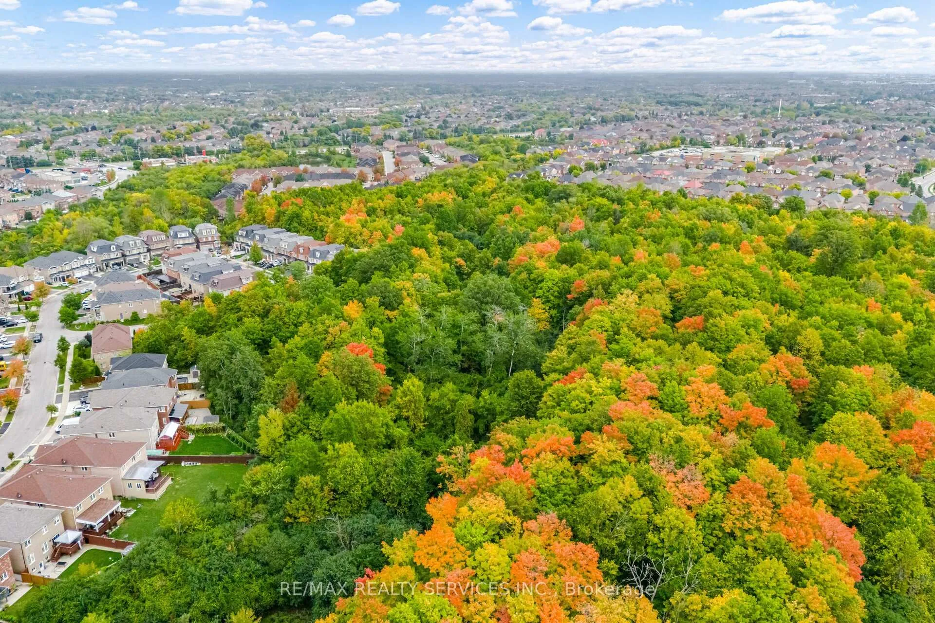 Photo 50 of 38 Foxsparrow Road, Brampton, Sandringham-Wellington North — HOMEH