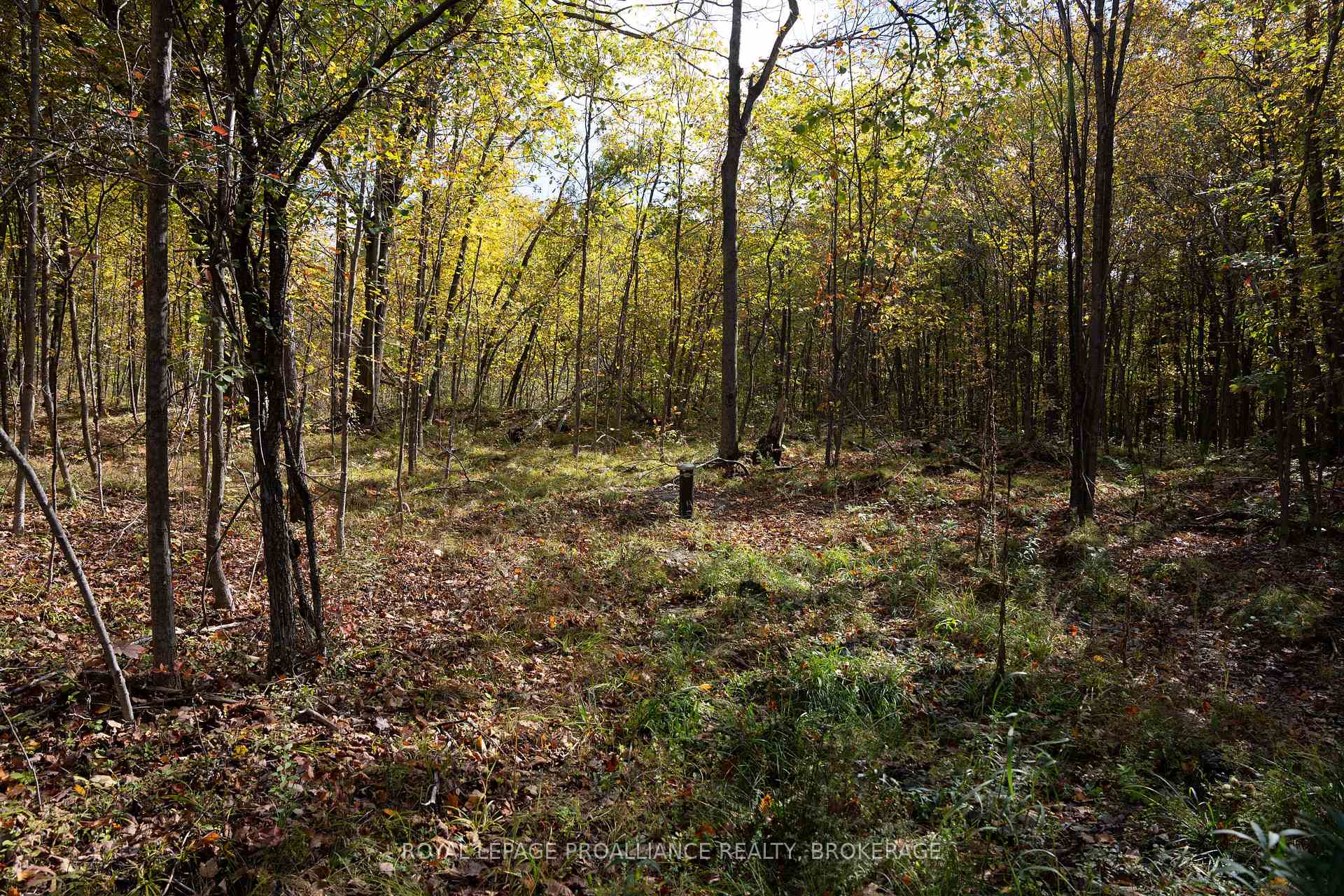 Photo 13 of PT LOTS 12 & 13 Devil Lake Road, Frontenac, Frontenac South — HOMEH