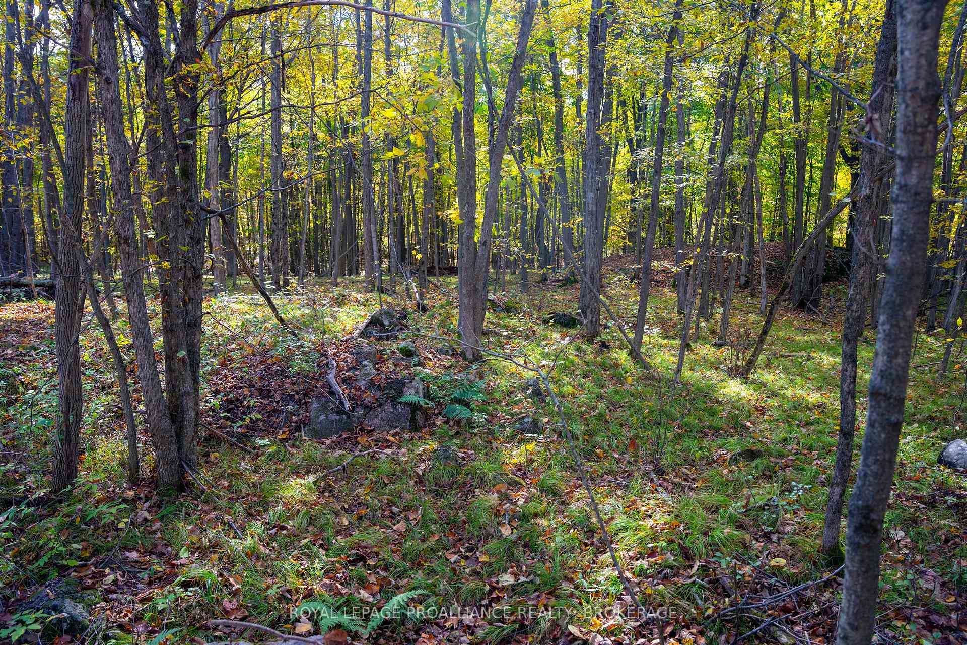 Photo 17 of PT LOTS 12 & 13 Devil Lake Road, Frontenac, Frontenac South — HOMEH