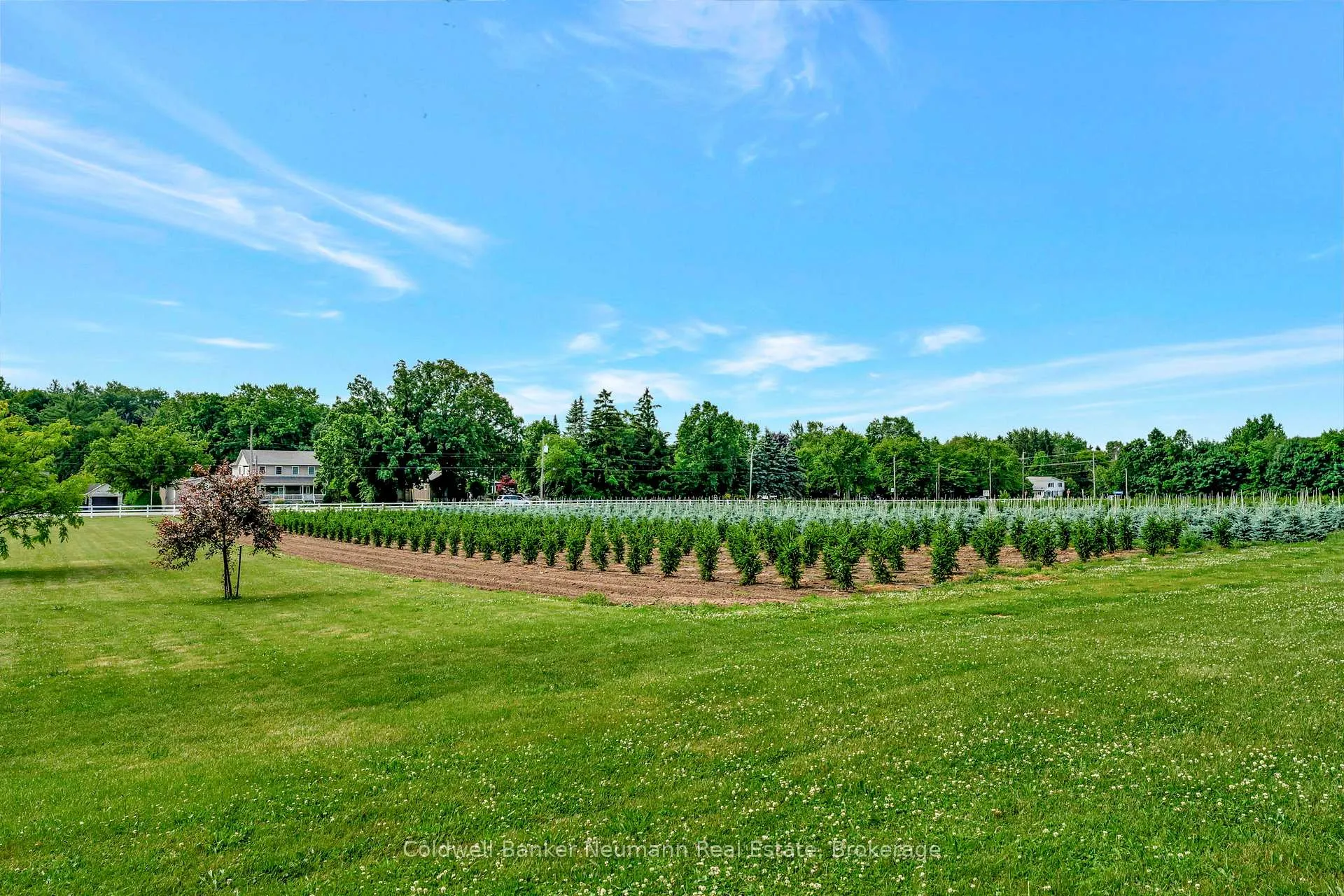 Photo 36 of 573 Parkside Drive, Hamilton, Rural Flamborough — HOMEH