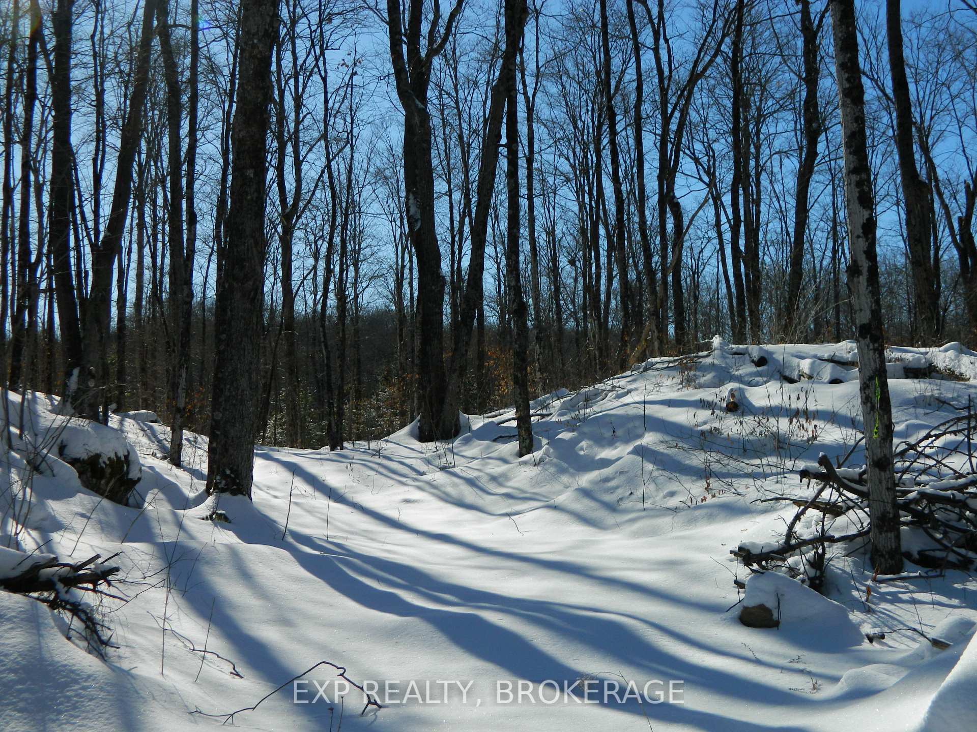 Photo 3 of 3608 Bell Line Road, Frontenac, Frontenac Centre — HOMEH