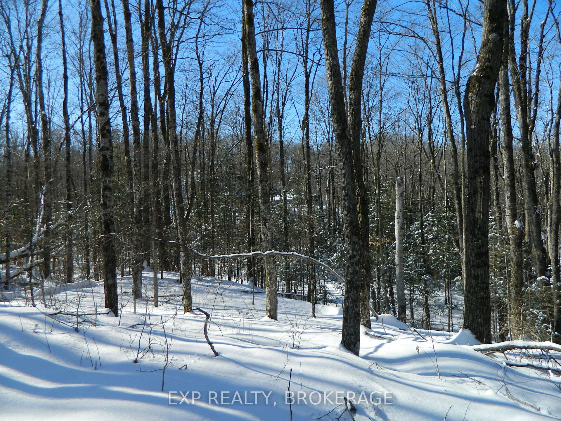Photo 9 of 3608 Bell Line Road, Frontenac, Frontenac Centre — HOMEH