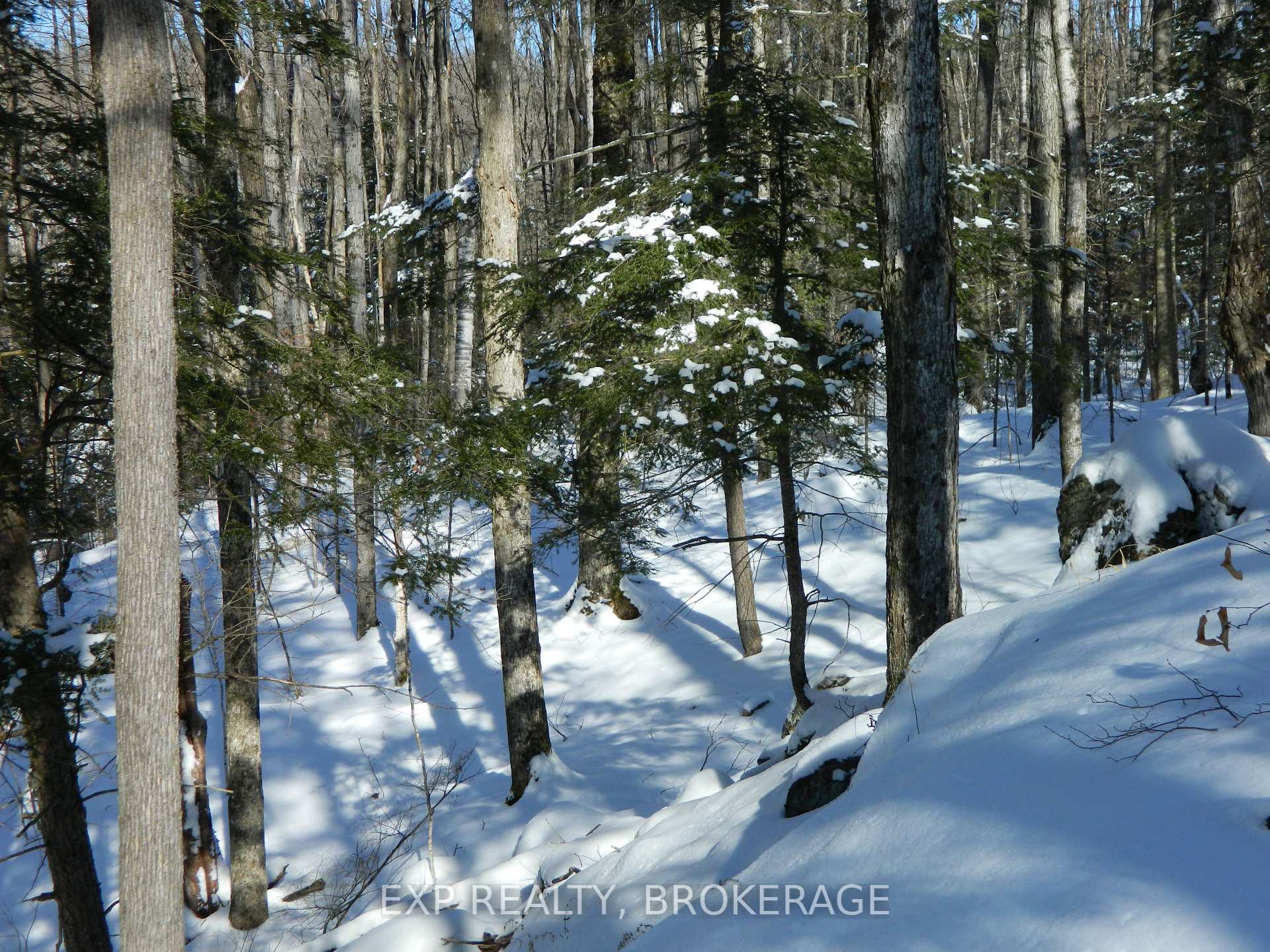 Photo 10 of 3608 Bell Line Road, Frontenac, Frontenac Centre — HOMEH