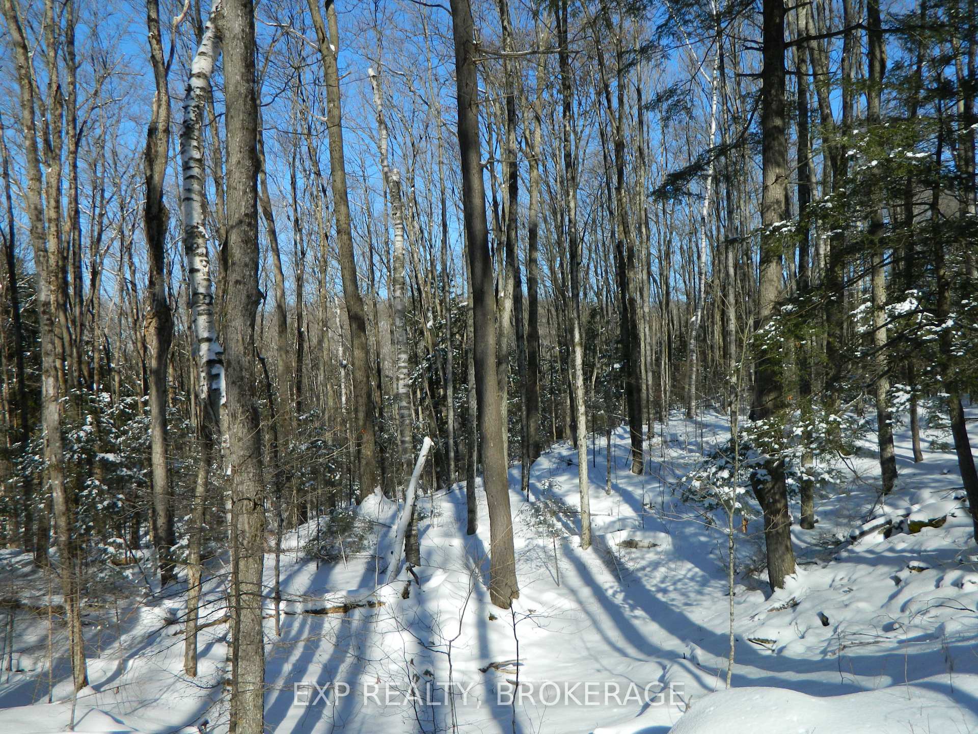 Photo 11 of 3608 Bell Line Road, Frontenac, Frontenac Centre — HOMEH