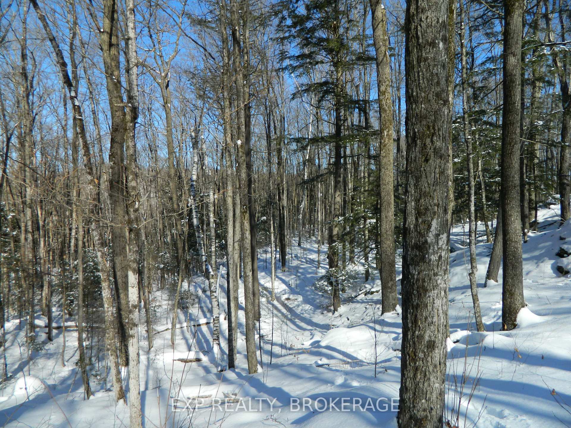 Photo 12 of 3608 Bell Line Road, Frontenac, Frontenac Centre — HOMEH