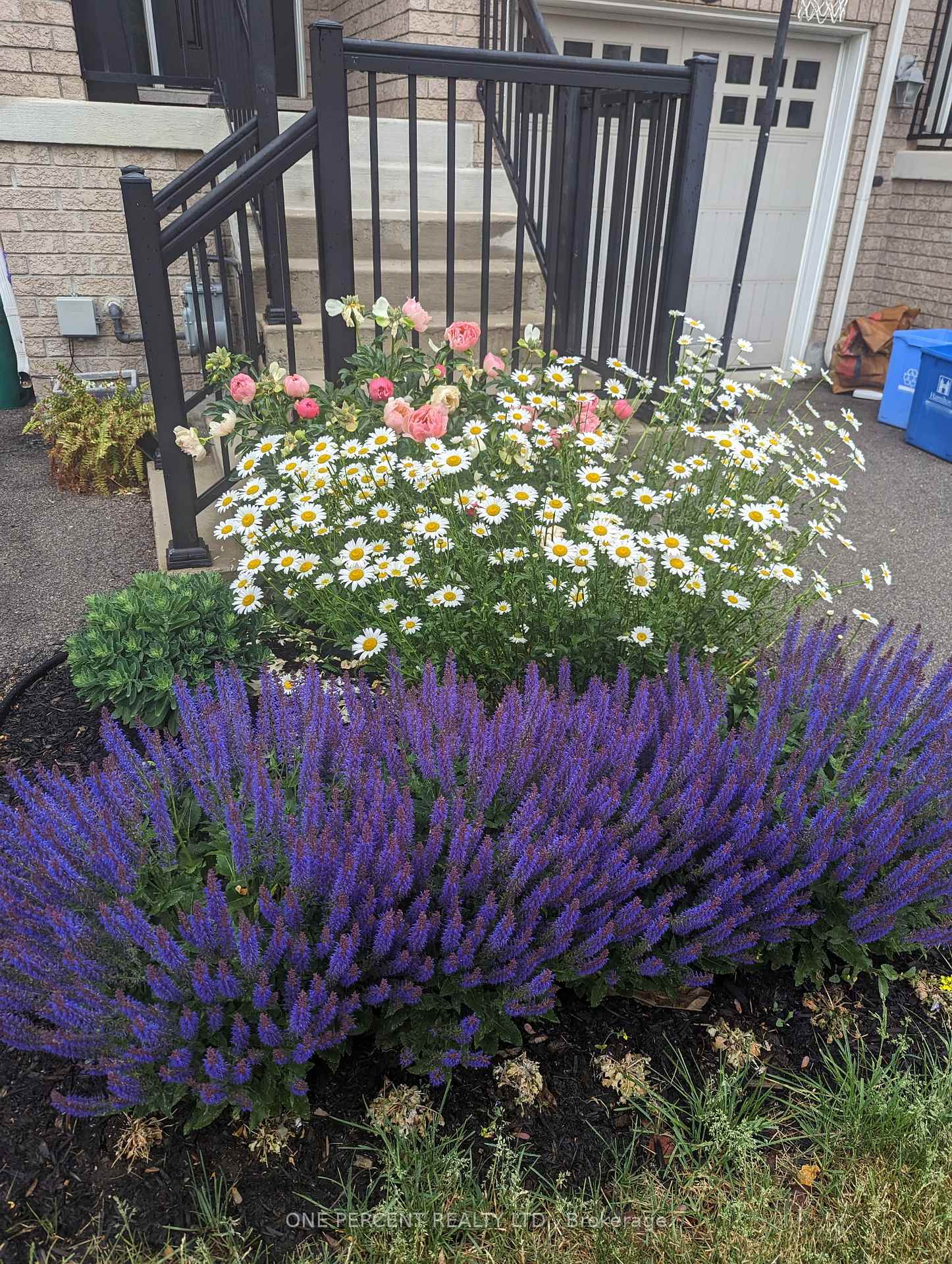 Photo 37 of 38 Ohara Lane, Hamilton, Meadowlands — HOMEH