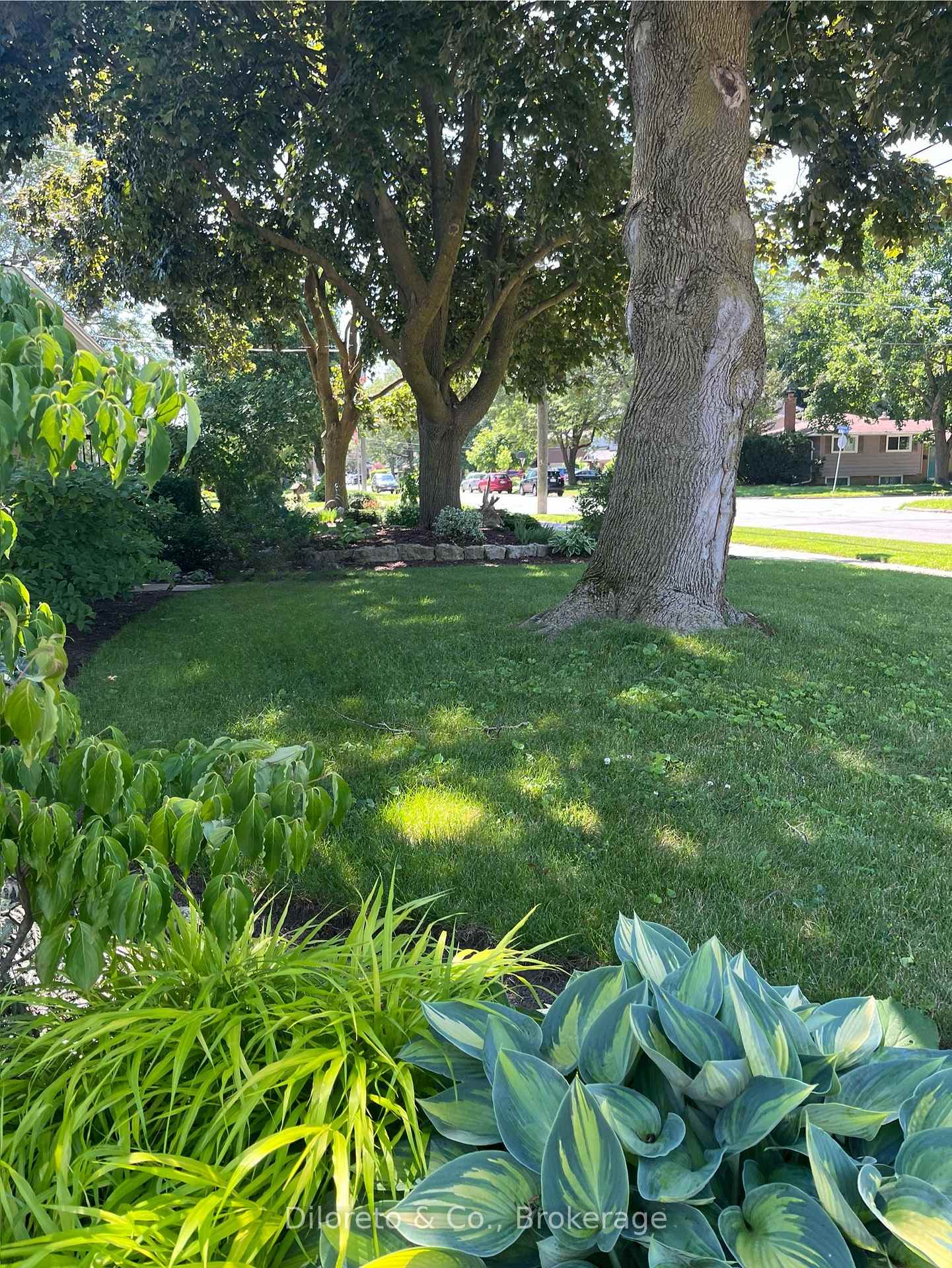 Photo 48 of 79 Elginfield Drive, Guelph, Grange Road — HOMEH