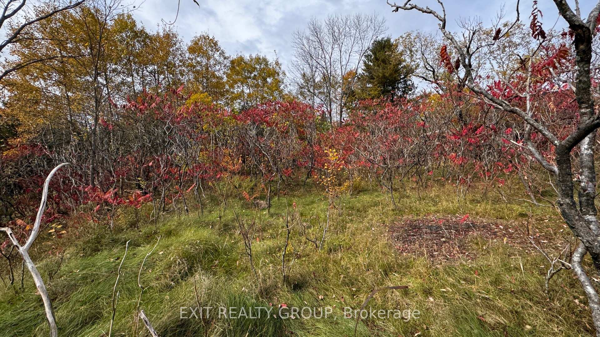 Photo 5 of 1989 Elm Tree Road, Frontenac, Frontenac Centre — HOMEH