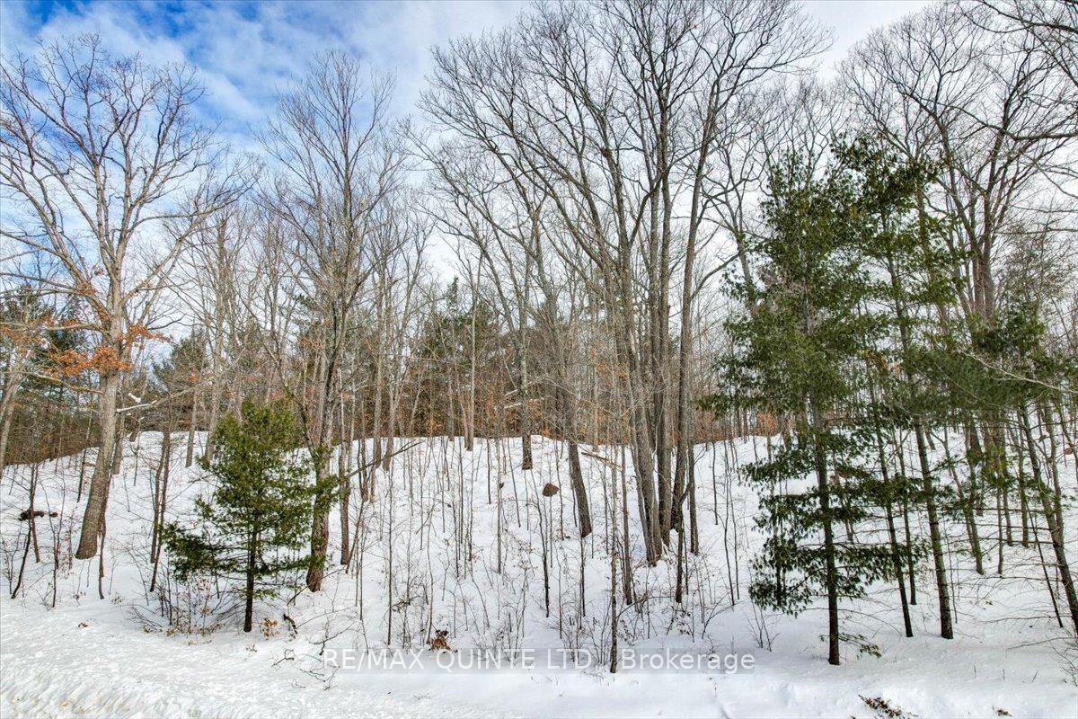 Photo 8 of Steele Road, Frontenac, Frontenac South — HOMEH
