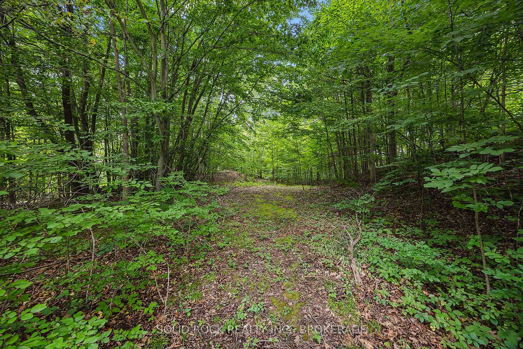 Photo 9 of 5915 Davey Drive, Frontenac, Frontenac South — HOMEH