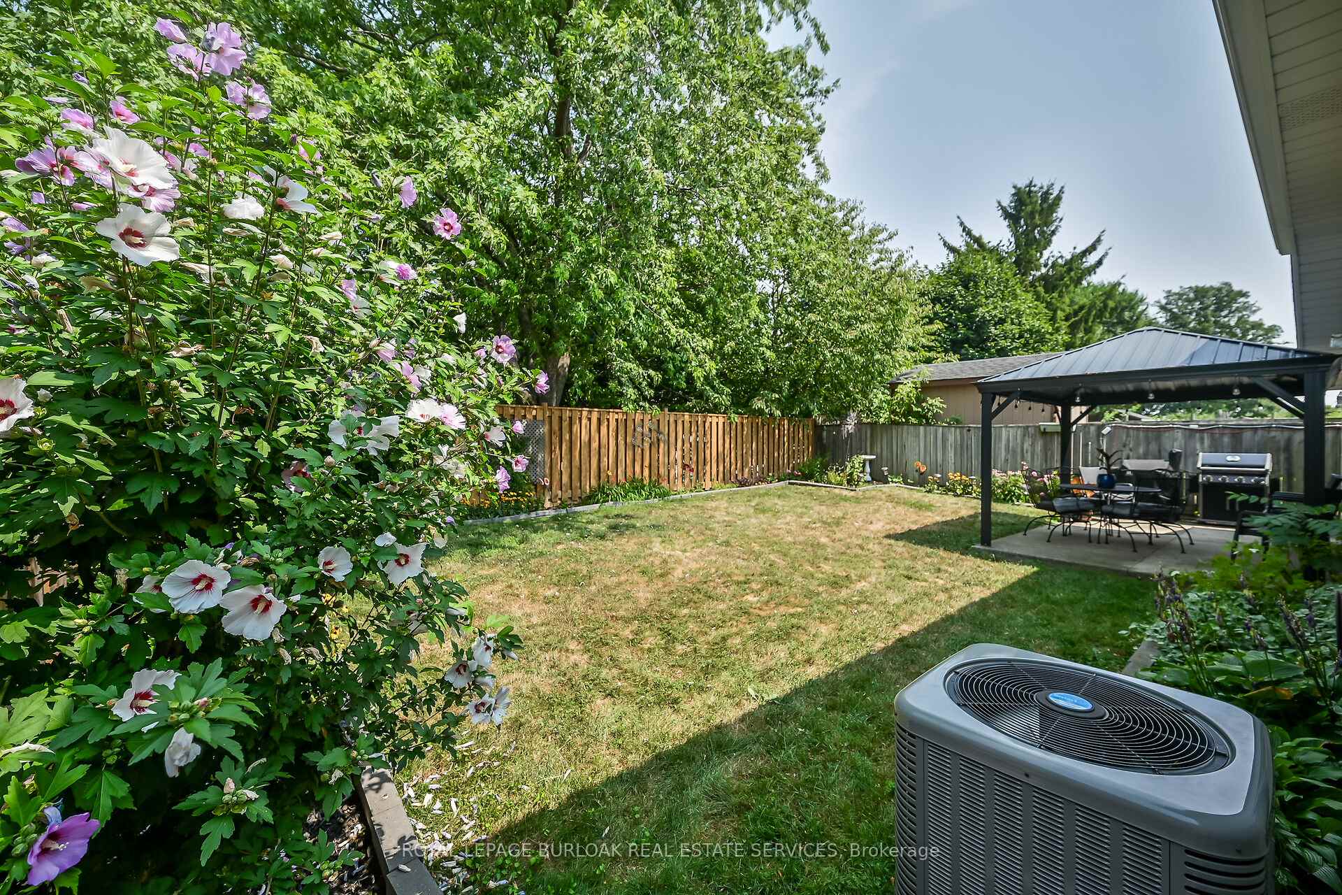 Photo 34 of 39 Heatherdale Place, Hamilton, Gourley — HOMEH