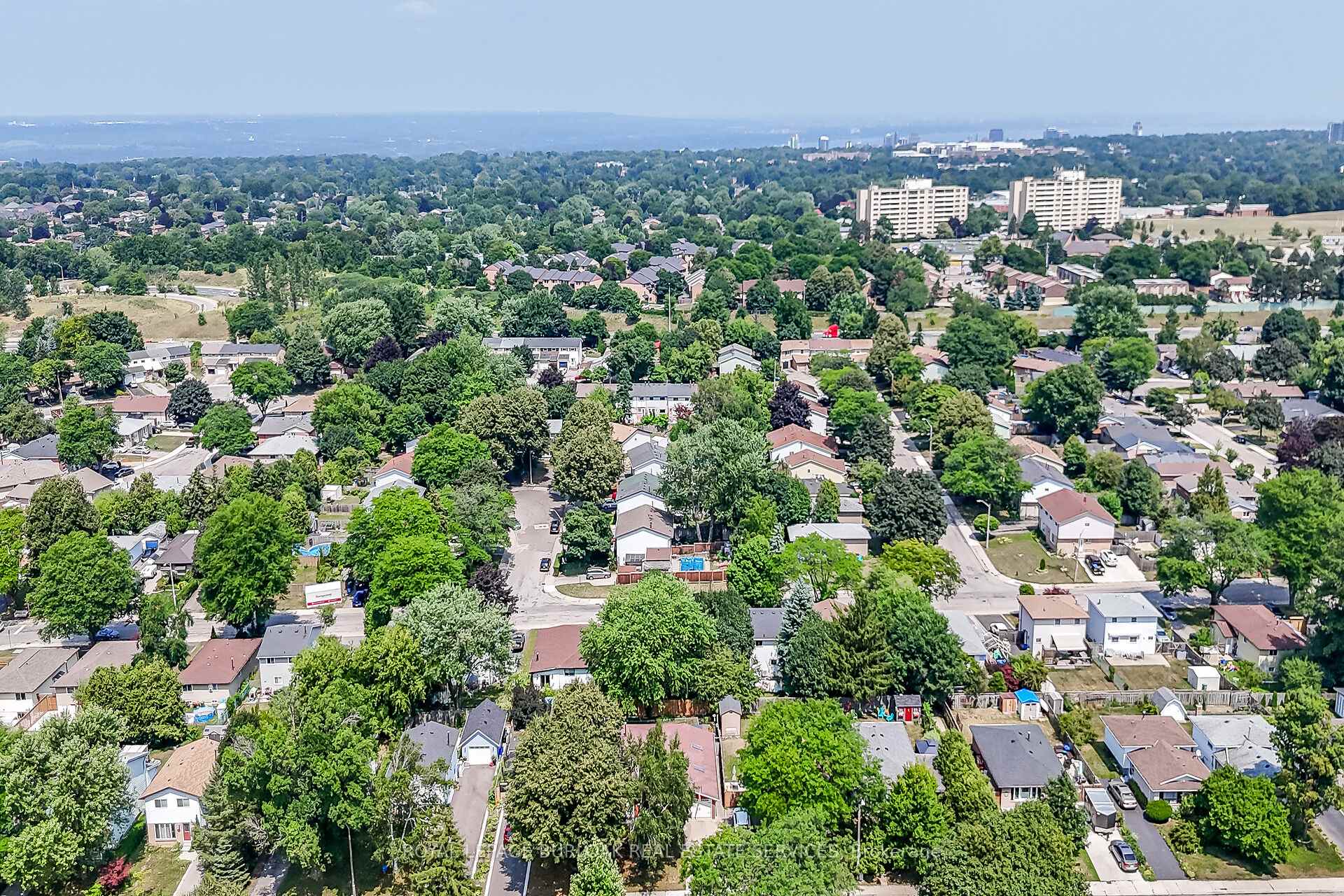 Photo 39 of 39 Heatherdale Place, Hamilton, Gourley — HOMEH