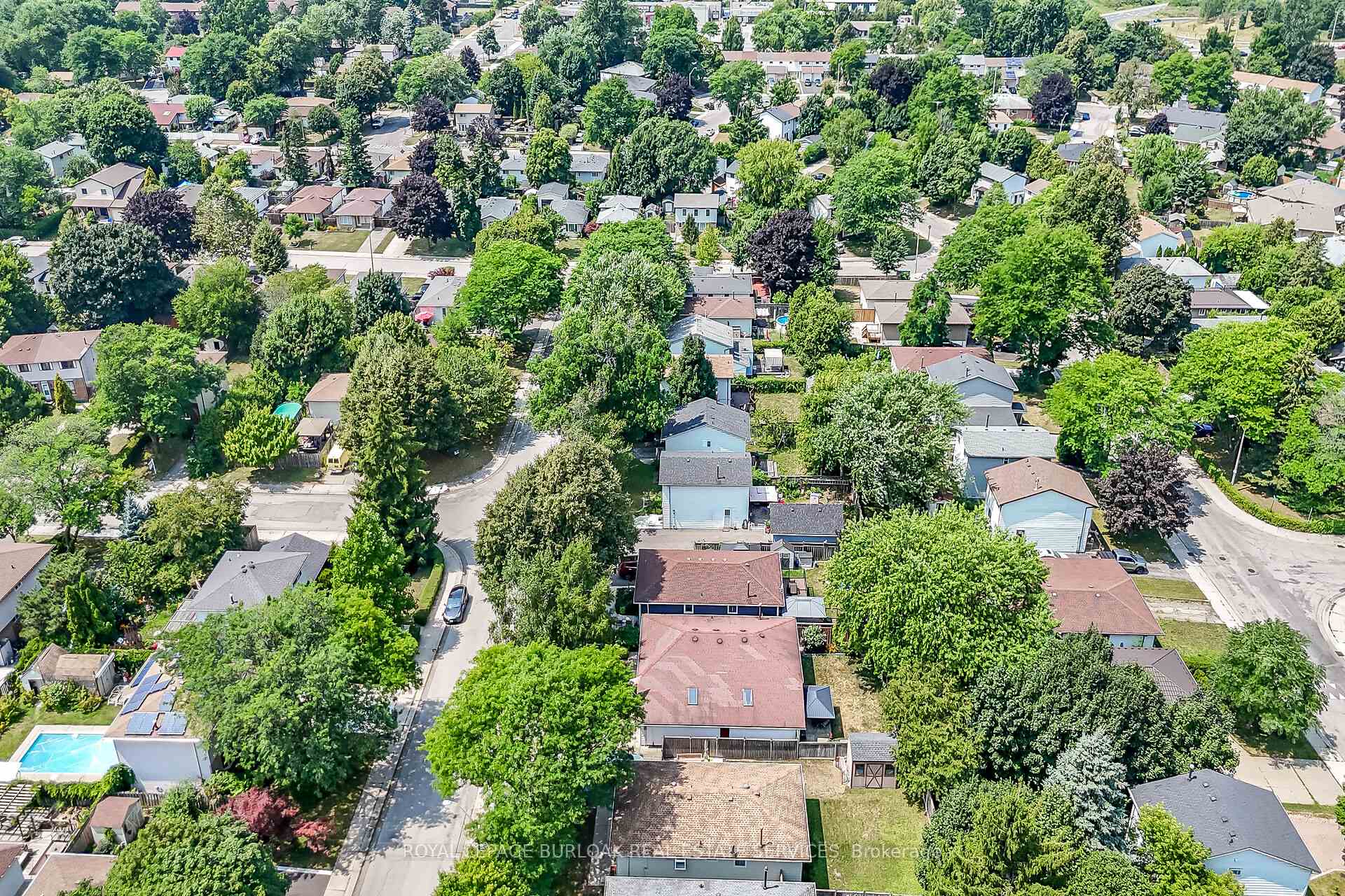 Photo 40 of 39 Heatherdale Place, Hamilton, Gourley — HOMEH