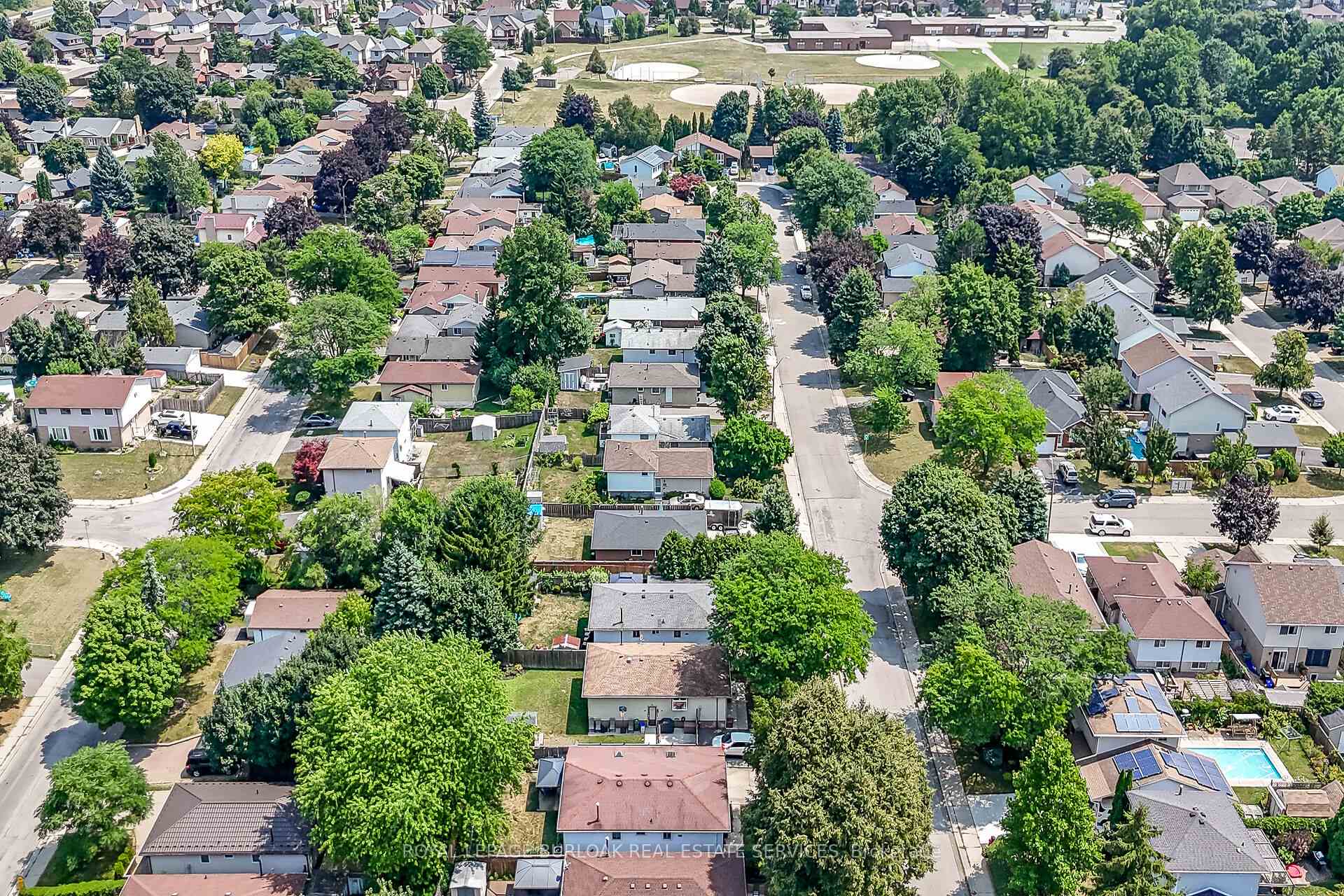 Photo 41 of 39 Heatherdale Place, Hamilton, Gourley — HOMEH