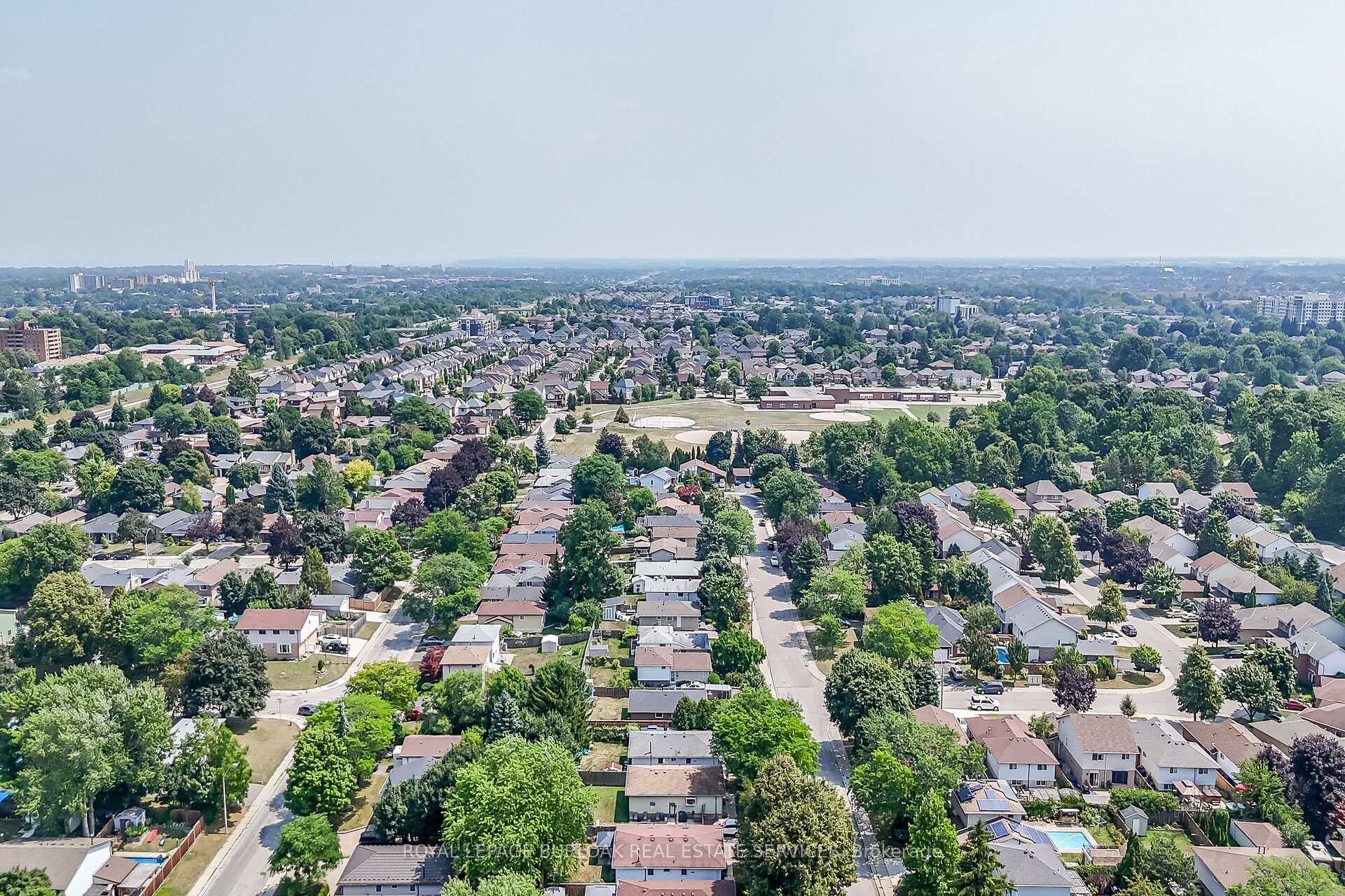 Photo 42 of 39 Heatherdale Place, Hamilton, Gourley — HOMEH