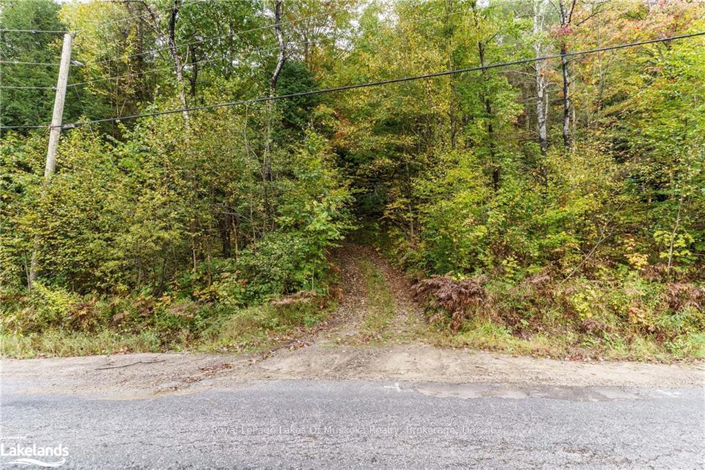 Front of NEAR 1059 Livingstone Lake Road